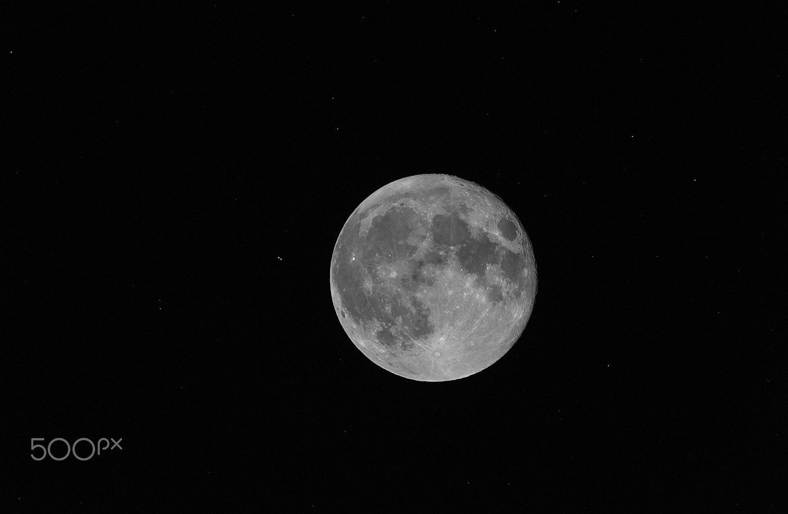 Nikon D4 sample photo. Multiple titles photography