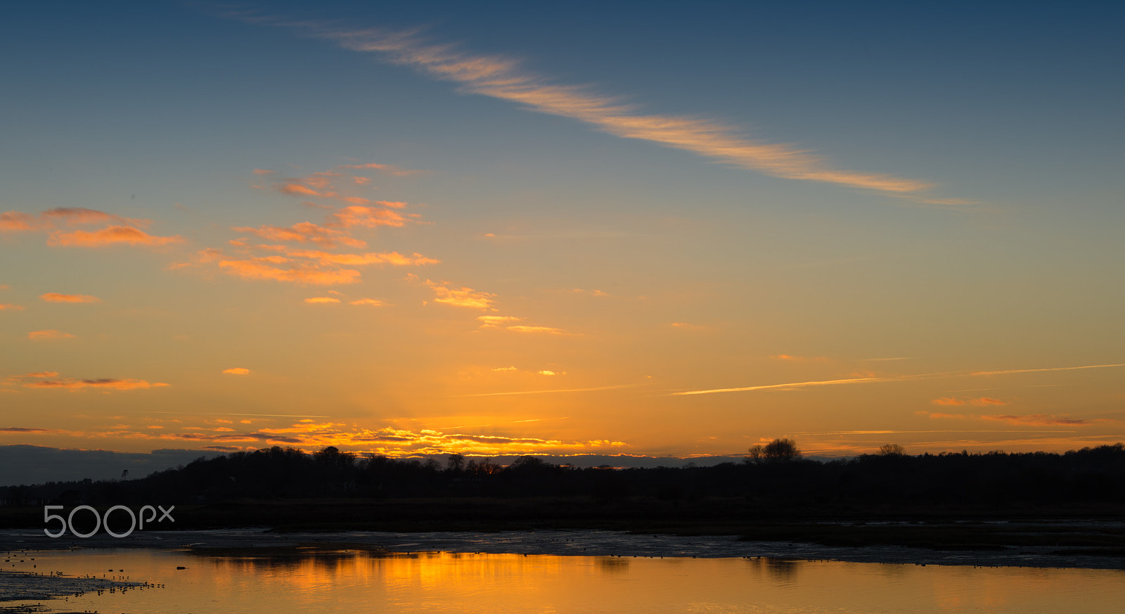 Nikon D4 sample photo. Multiple titles photography