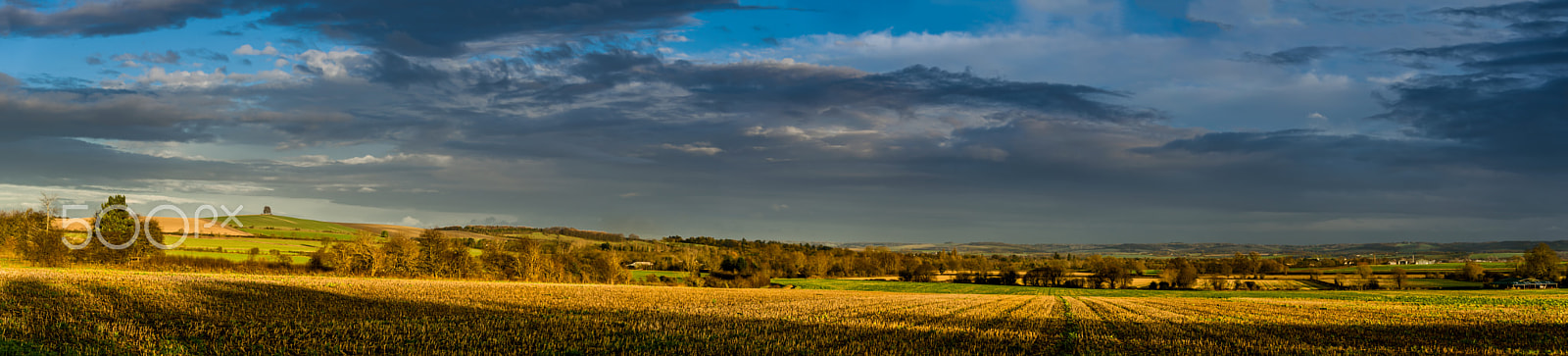 Nikon D4 sample photo. Multiple titles photography