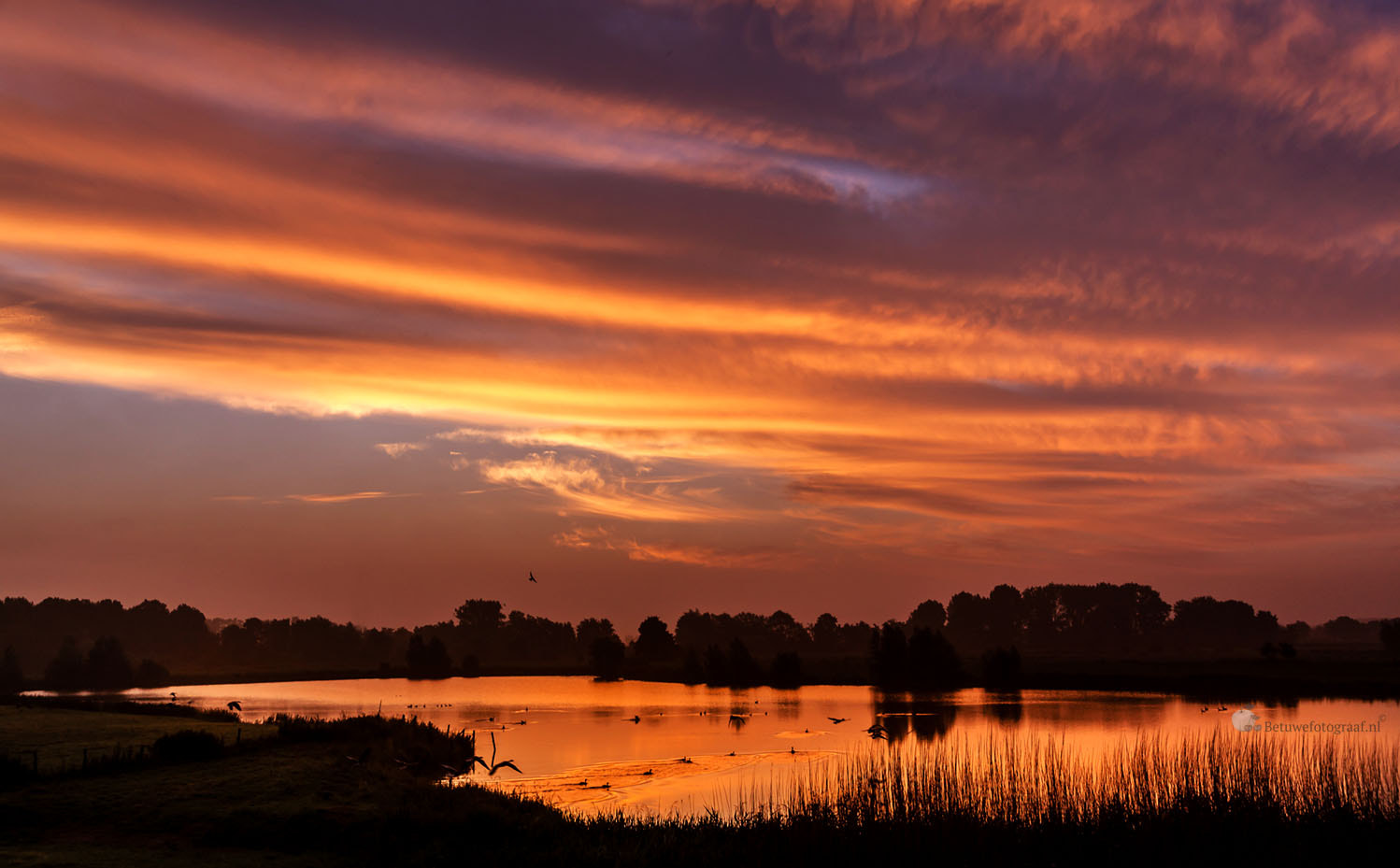 Canon EOS 5D Mark II + Sigma 24-105mm f/4 DG OS HSM | A sample photo. The sky is on fire...... photography