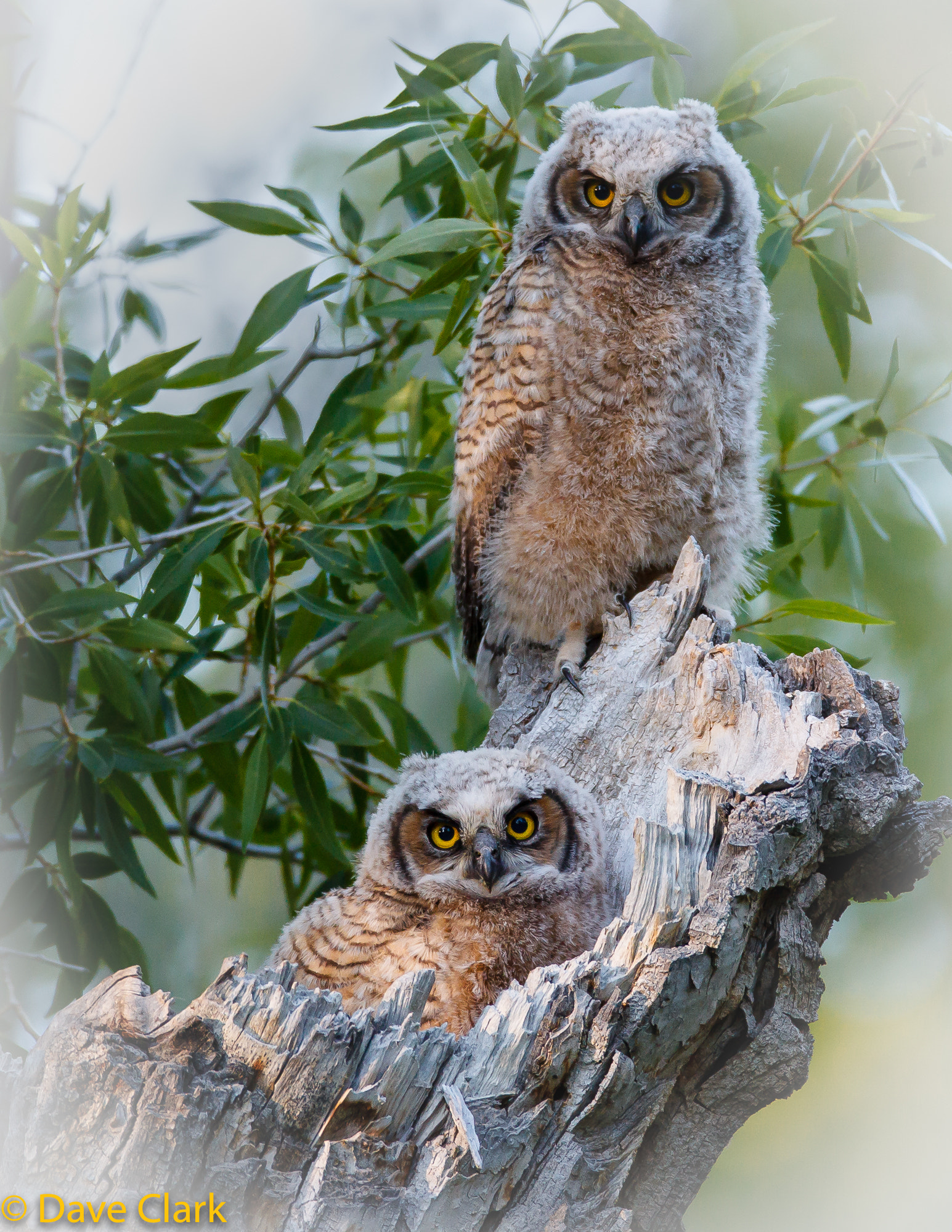 Canon EF 600mm f/4L IS sample photo. Look at those strange people photography