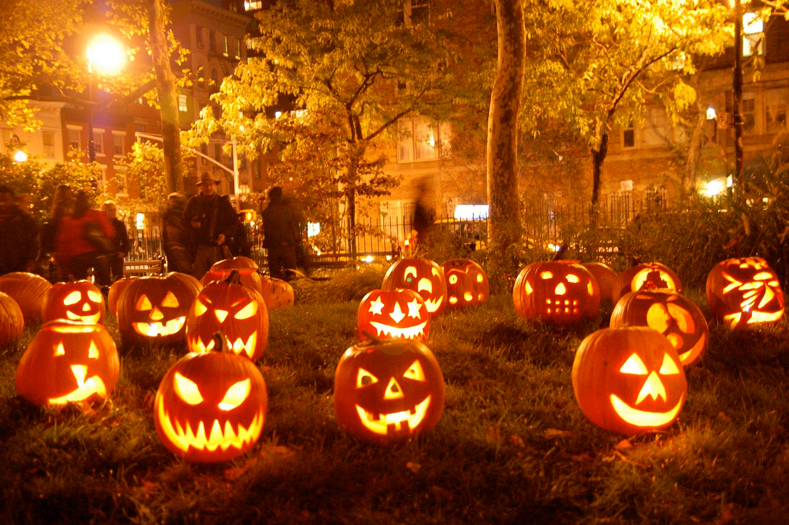 Nikon D50 sample photo. 50 best halloween pumpkin wallpapers - halloween wallpapers photography