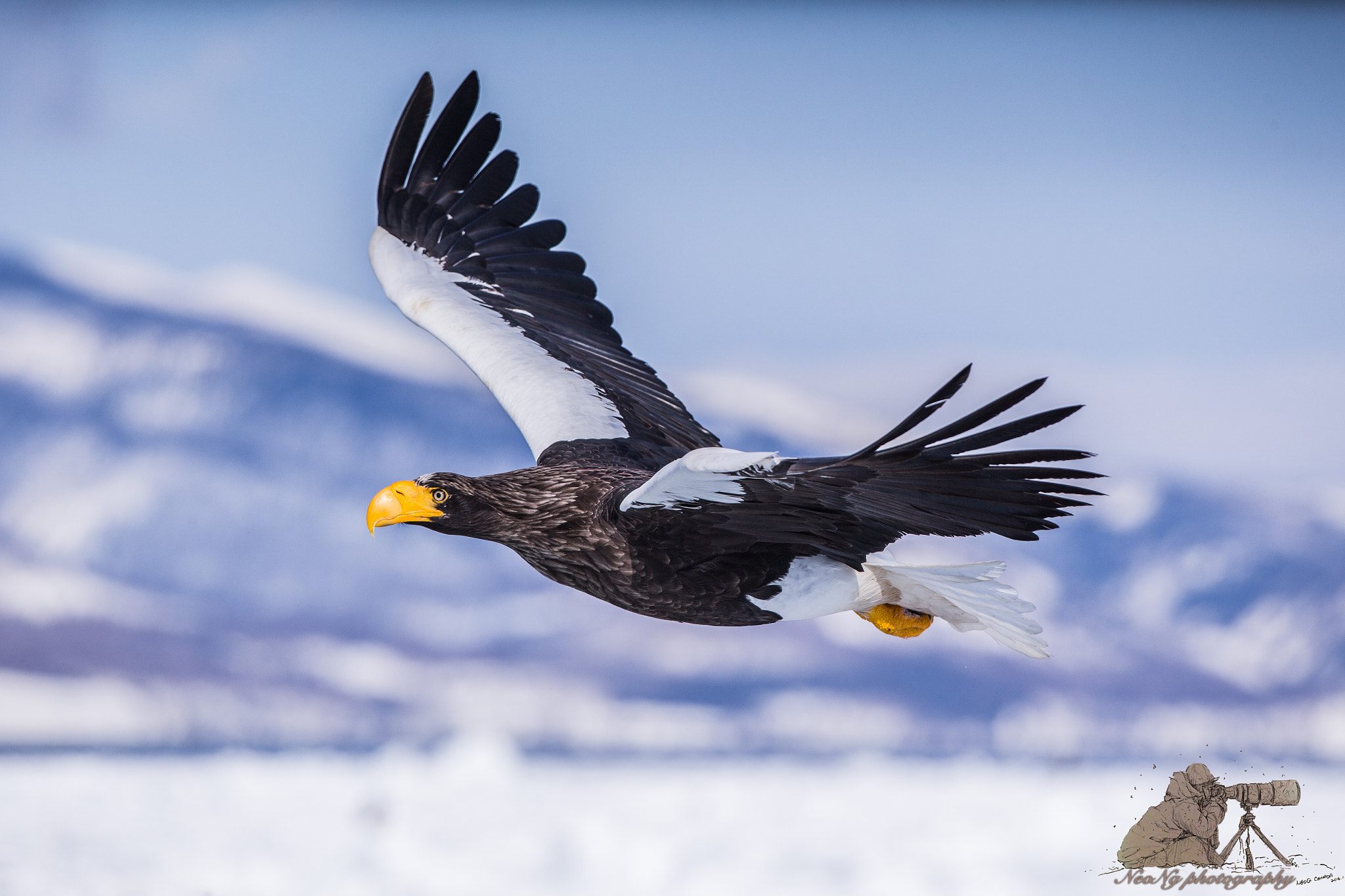 Canon EOS-1D X + Canon EF 300mm F2.8L IS II USM sample photo. Neo photography