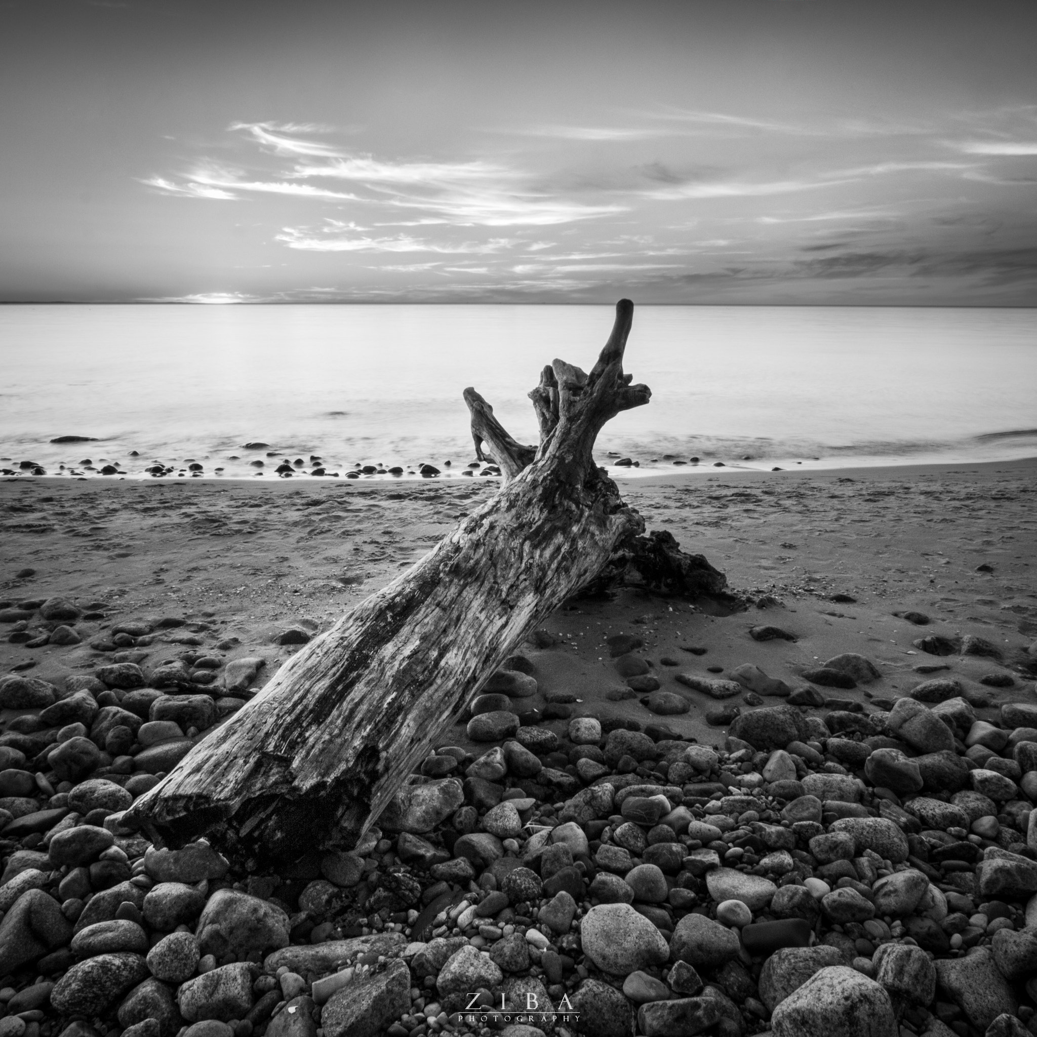 Canon EF-S 10-22mm F3.5-4.5 USM sample photo. Branch at the beach photography