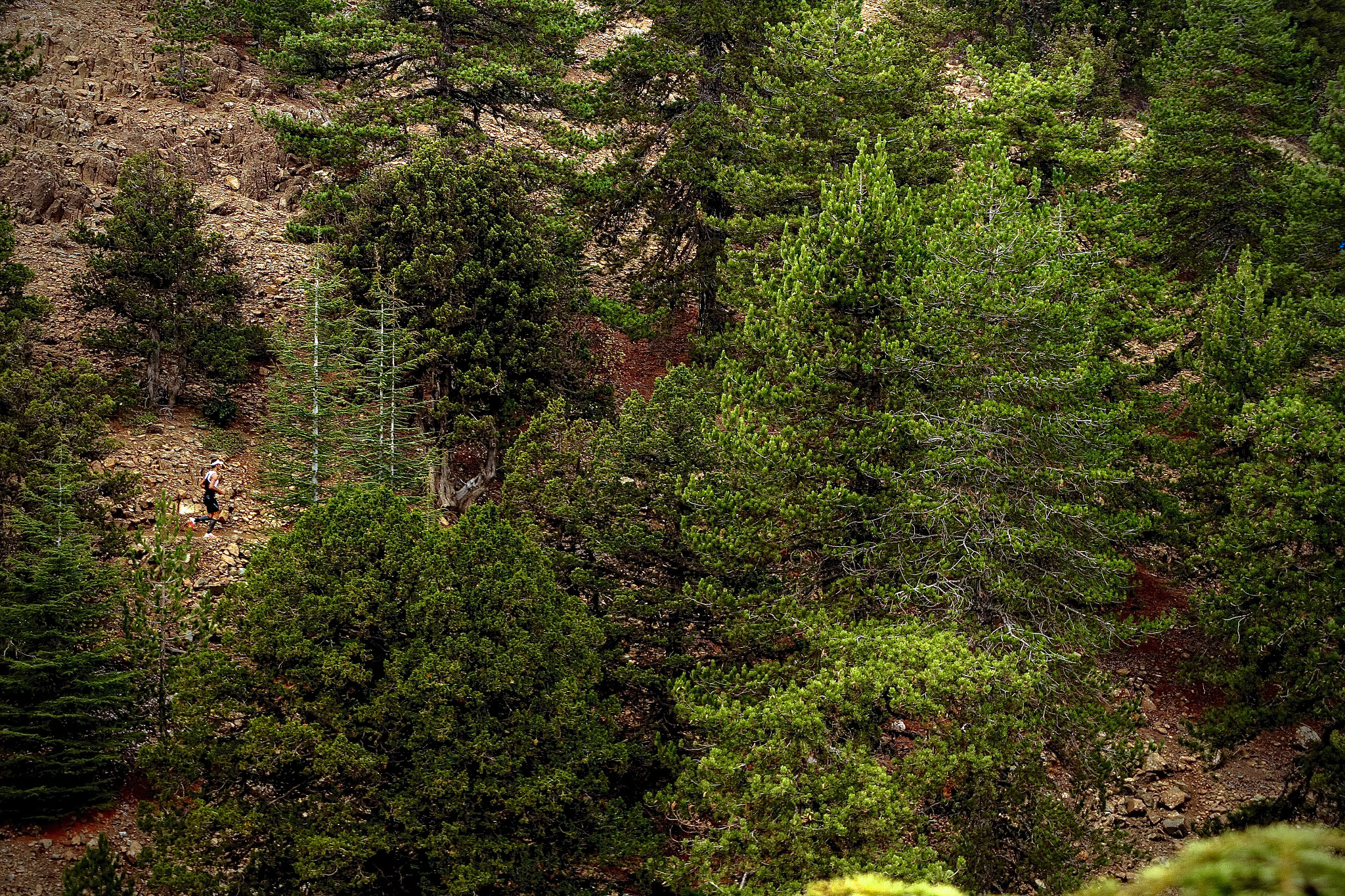 Canon EF 28-200mm F3.5-5.6 USM sample photo. Troodos mountain, cyprus photography