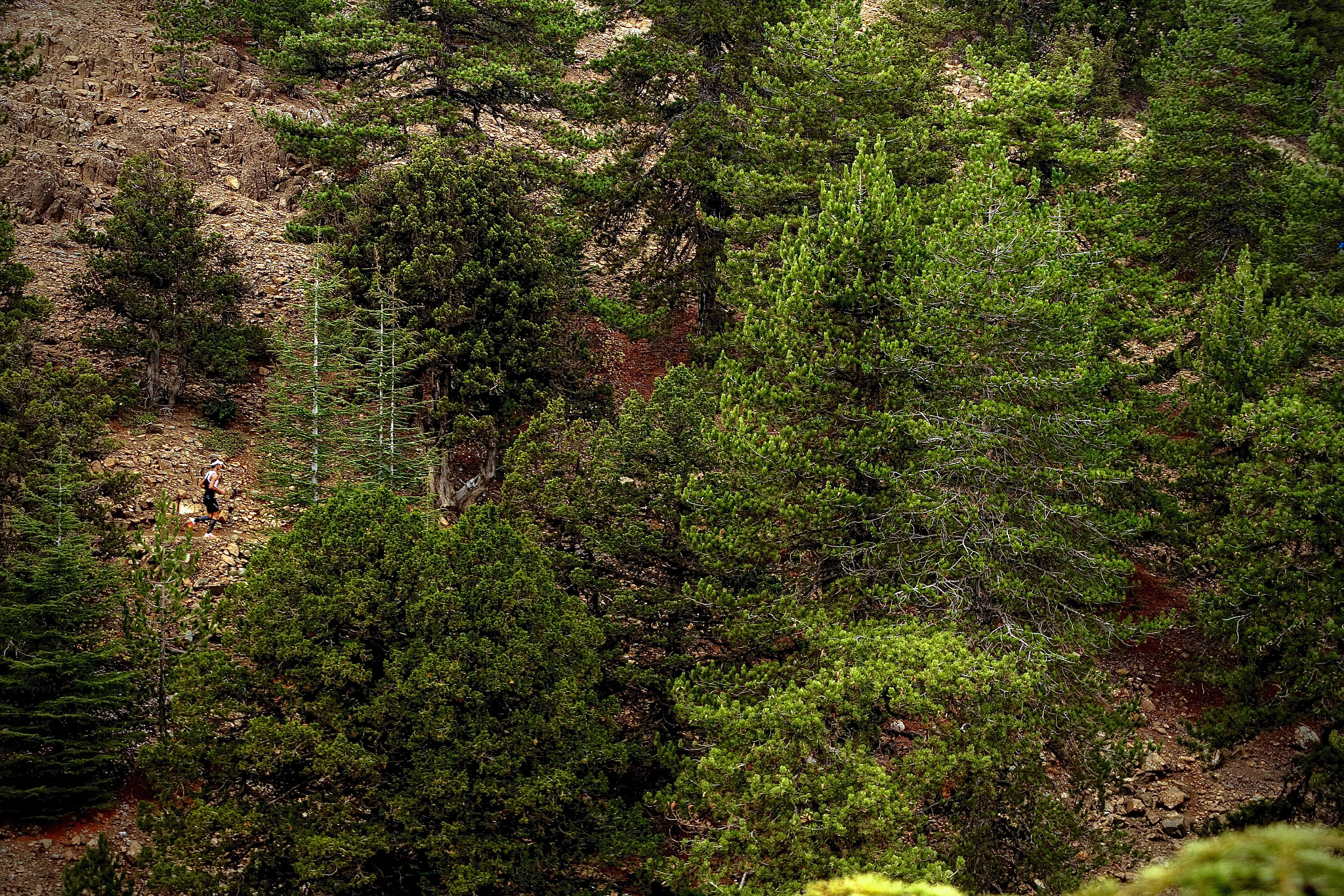 Canon EOS 7D + Canon EF 28-200mm F3.5-5.6 USM sample photo. Troodos mountain, cyprus photography