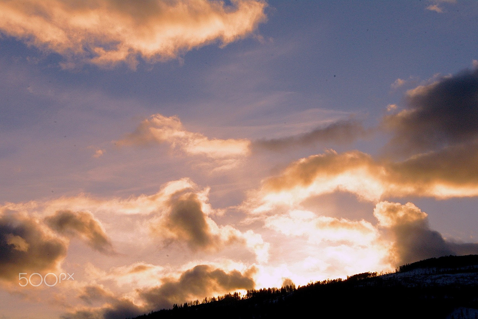 Pentax K-7 sample photo. Above the treeline photography