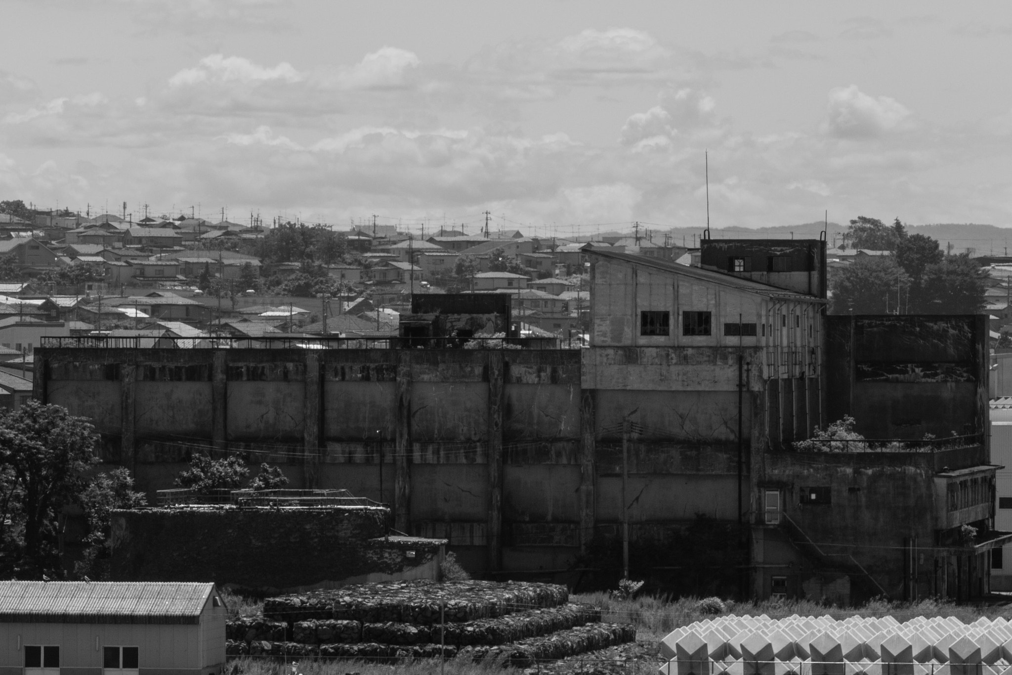 Canon EOS 700D (EOS Rebel T5i / EOS Kiss X7i) sample photo. Nestled photography