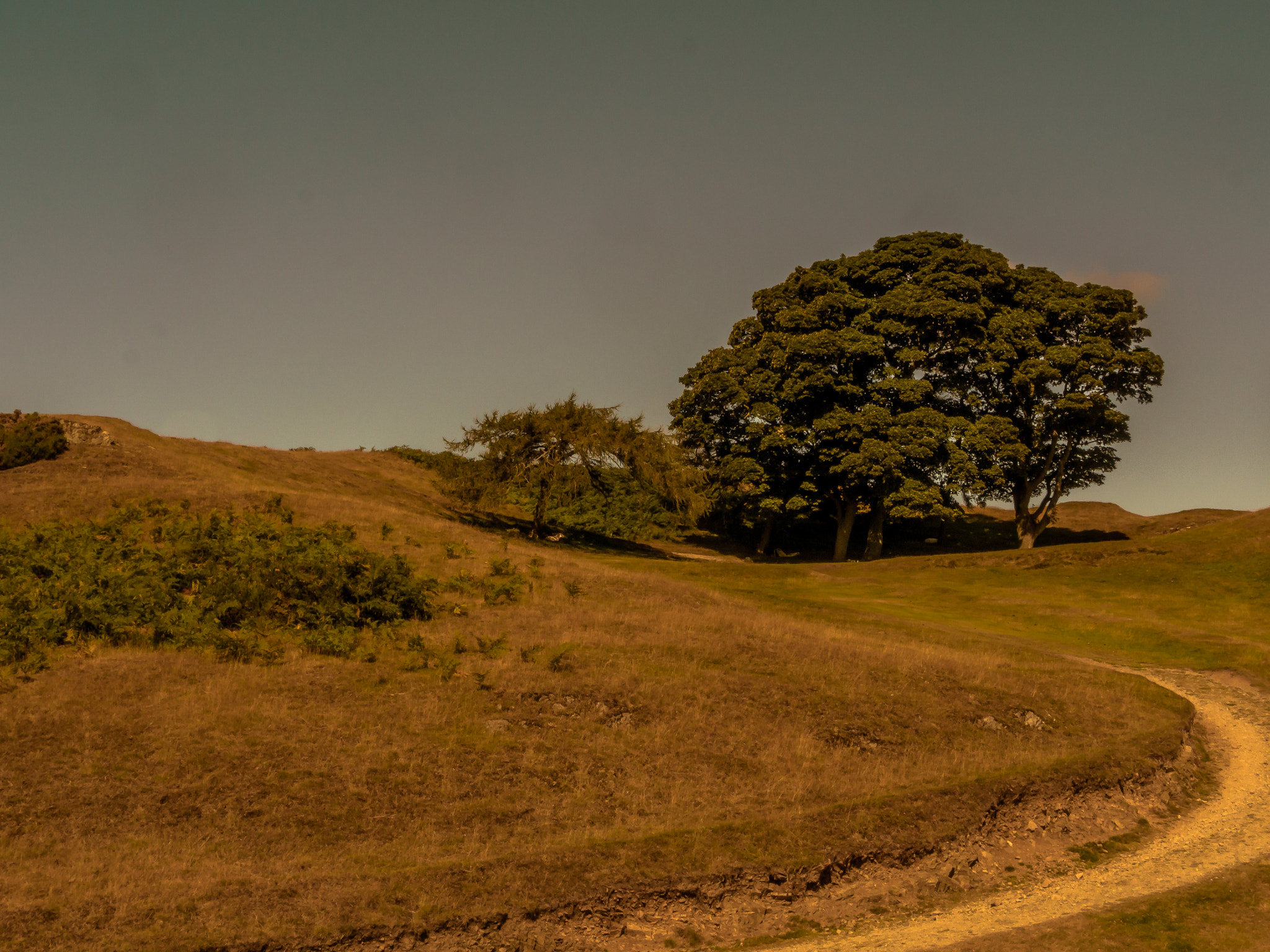 LUMIX G 25/F1.7 sample photo. The road to nowhere photography