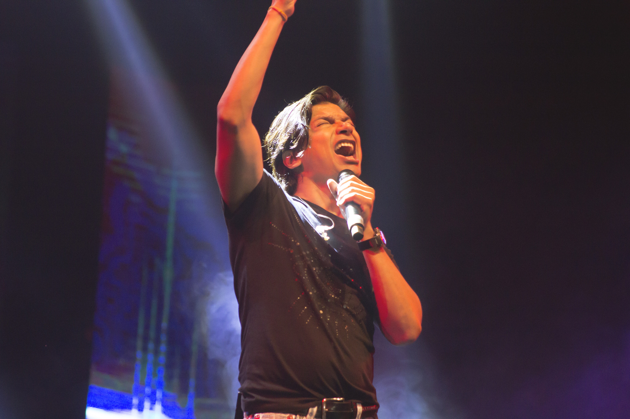 Canon EF 75-300mm f/4-5.6 USM sample photo. Concert photography