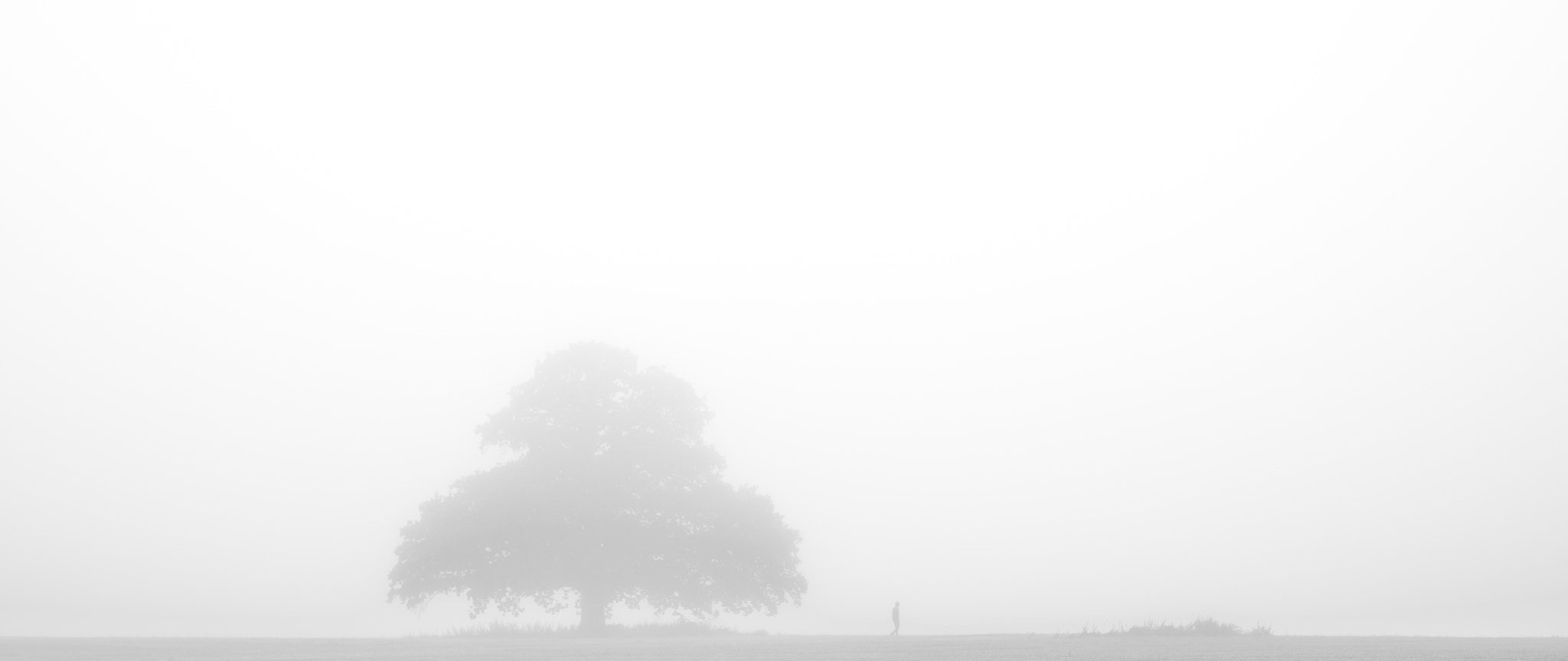 Pentax K-1 + Pentax smc FA 77mm 1.8 Limited sample photo. Silhoutte of loneliness photography