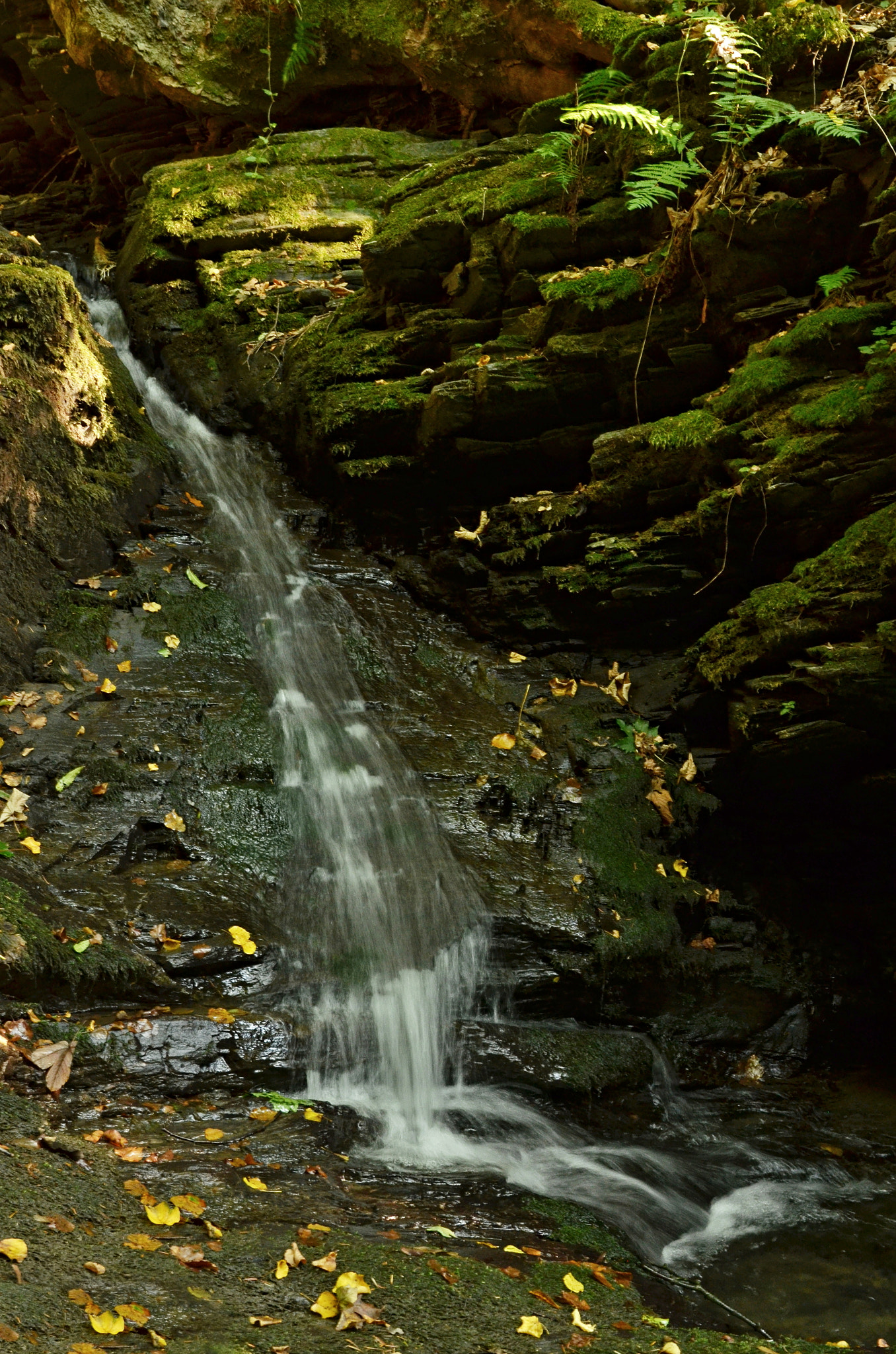 Nikon D5100 + Nikon AF-S Nikkor 28mm F1.8G sample photo. Pasecký vodopád photography