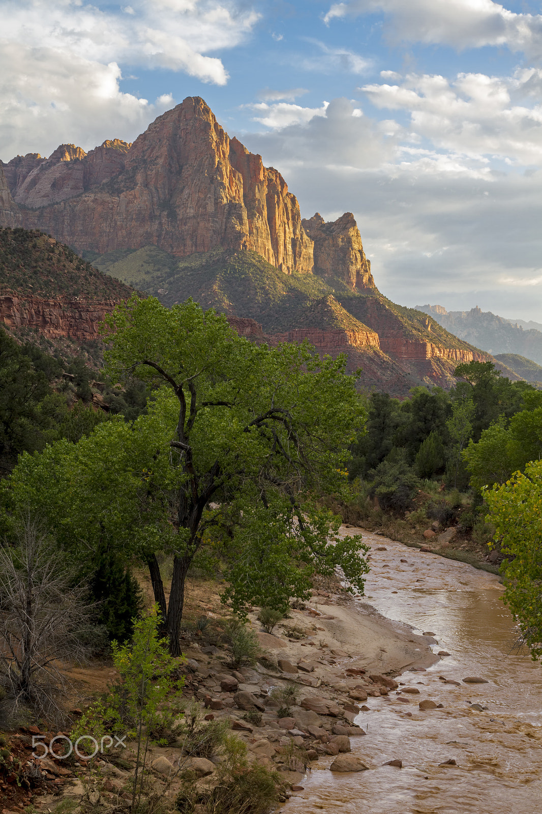 Sigma 17-70mm F2.8-4 DC Macro OS HSM sample photo. Zion - national park photography