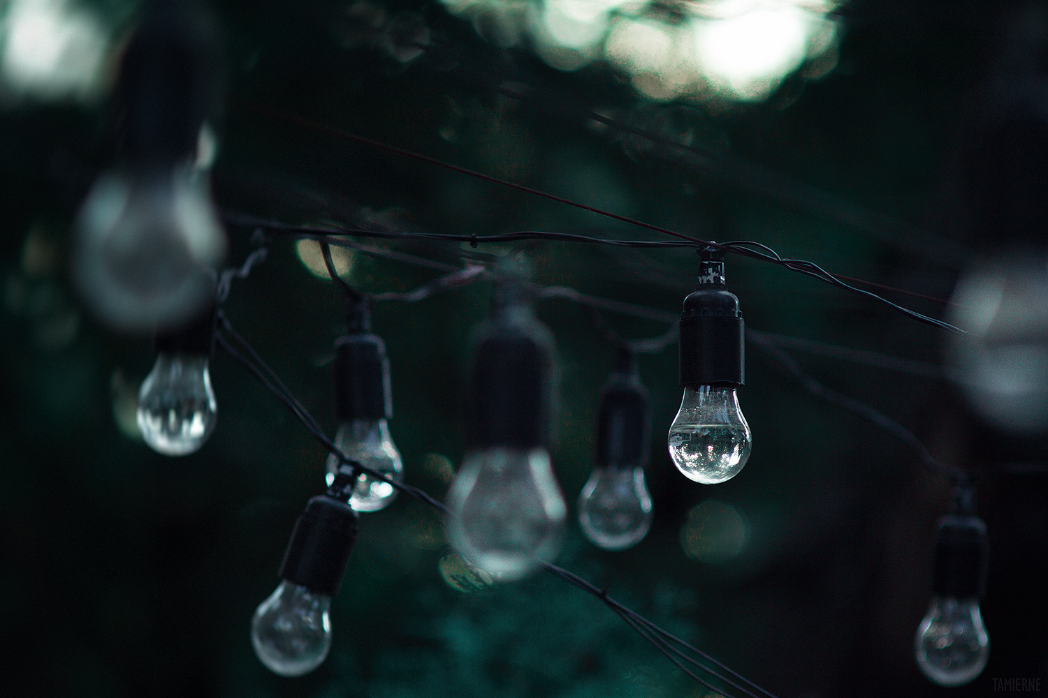 Canon EF 35-80mm f/4-5.6 sample photo. Rainy photography