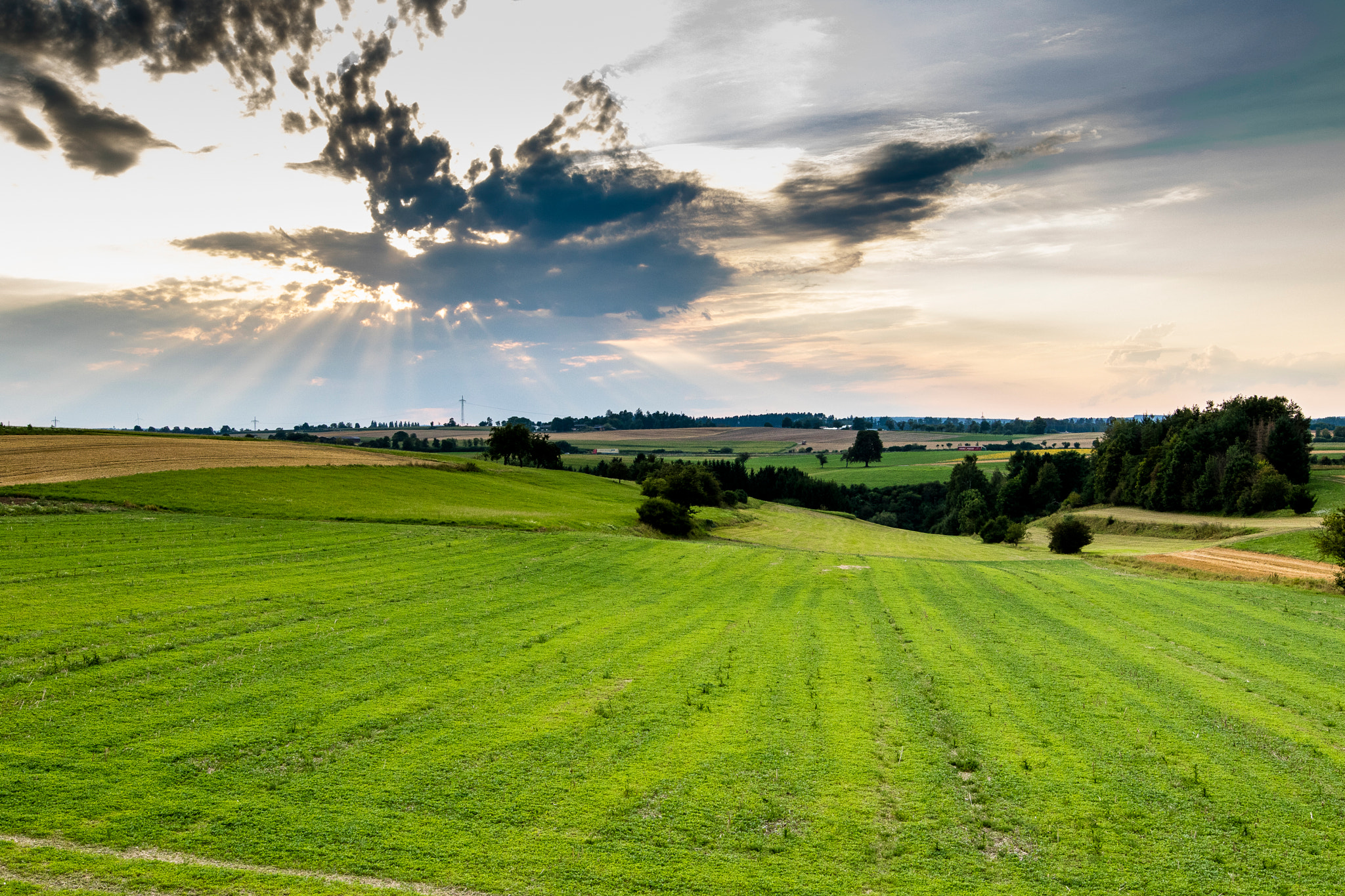 Sigma 24mm F1.4 DG HSM Art sample photo. Field photography