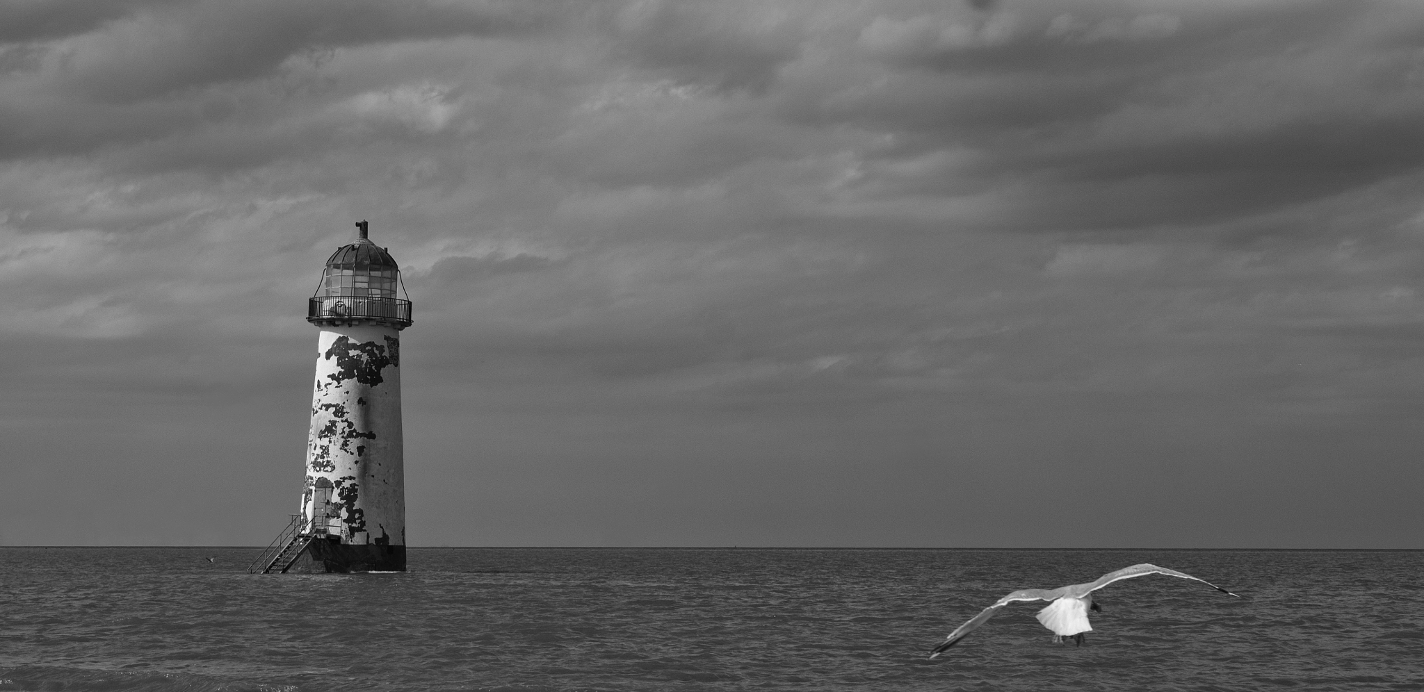 Sony Alpha NEX-C3 + E 50mm F1.8 OSS sample photo. Lighthouse & seagull photography