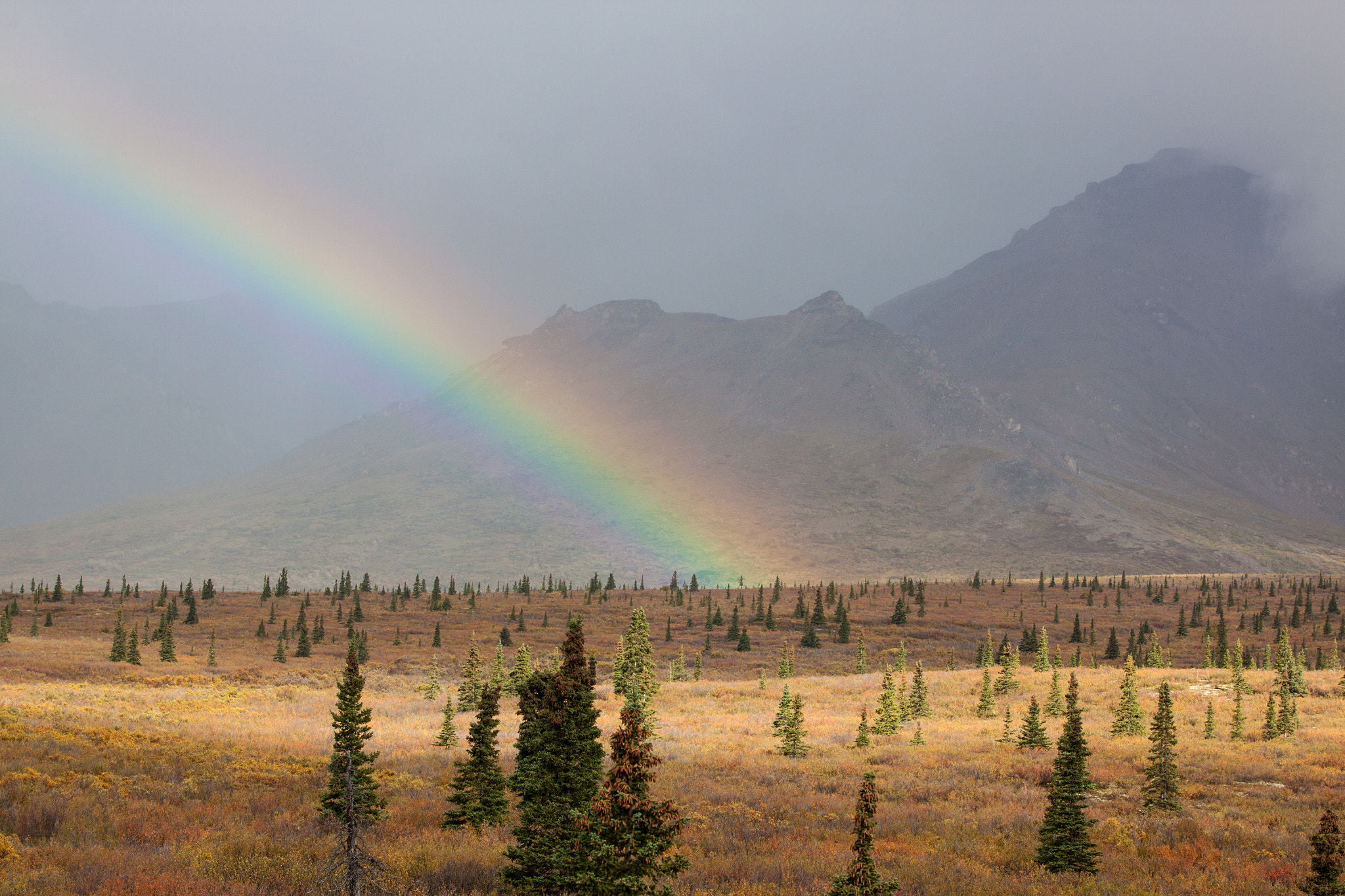 Canon EOS 50D sample photo. Rainbow in denali photography