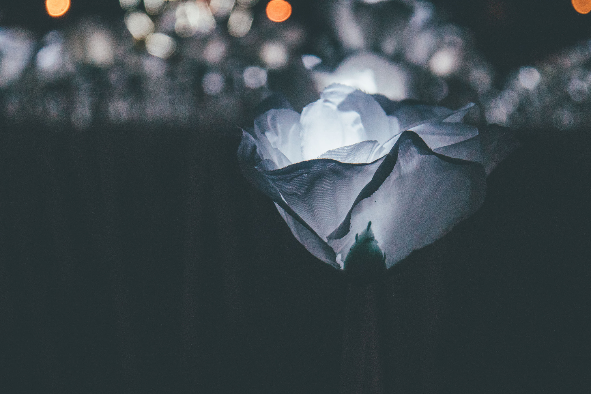 Panasonic Lumix DMC-GH4 sample photo. Glowing love. photography