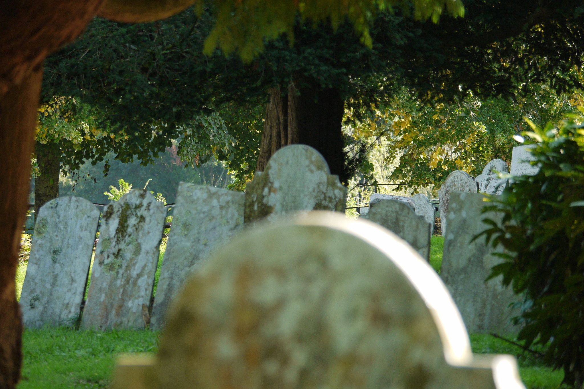 Panasonic Lumix DMC-G10 + Panasonic Lumix G Vario 100-300mm F4-5.6 OIS sample photo. Launceston churchyard photography