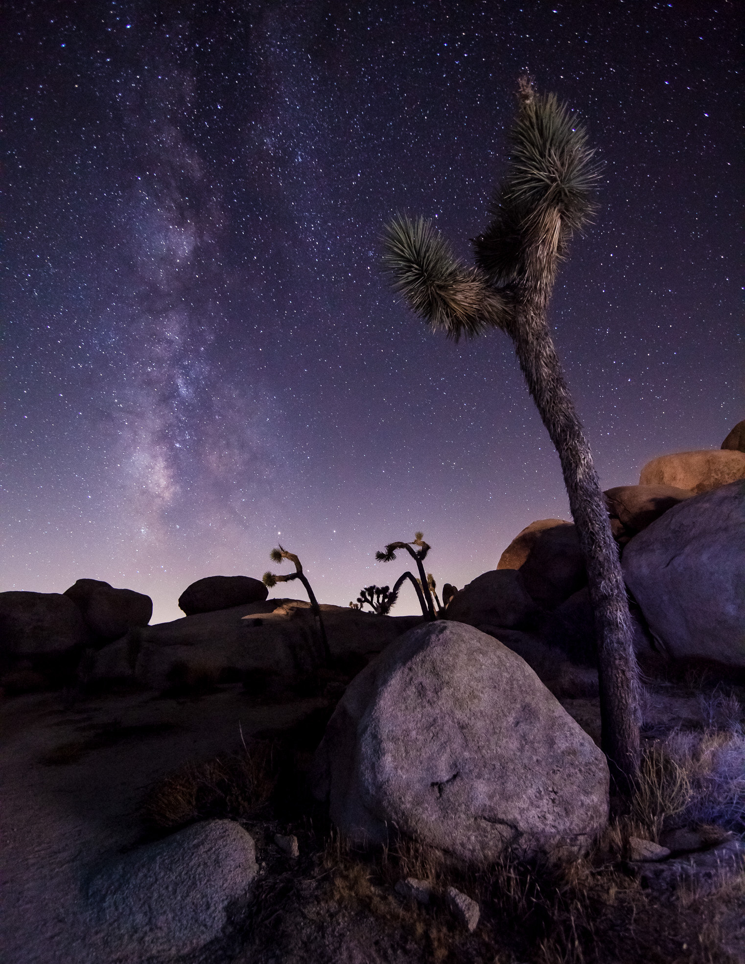 Canon EF 14mm F2.8L II USM sample photo. Up in the night sky photography