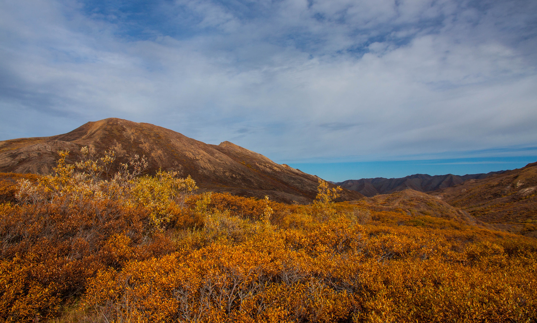 Canon EOS 500D (EOS Rebel T1i / EOS Kiss X3) sample photo. Denali wilderness photography