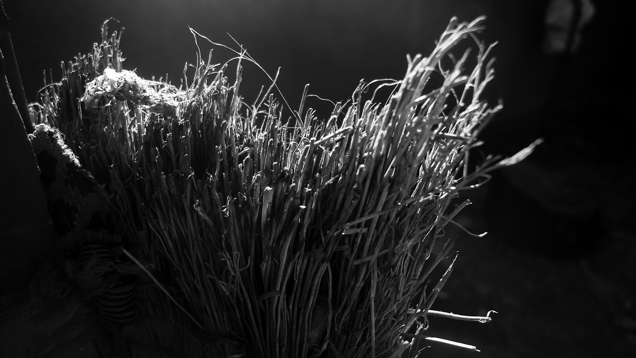 Sony Cyber-shot DSC-W330 sample photo. Vassoura - broom photography