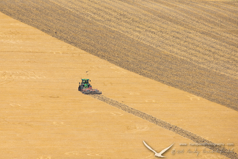 Canon EOS-1D X + Canon EF 300mm F2.8L IS USM sample photo. Fields of gold photography