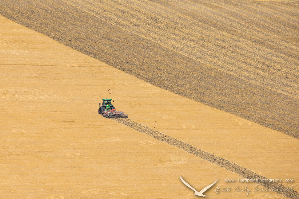 Canon EF 300mm F2.8L IS USM sample photo. Fields of gold photography