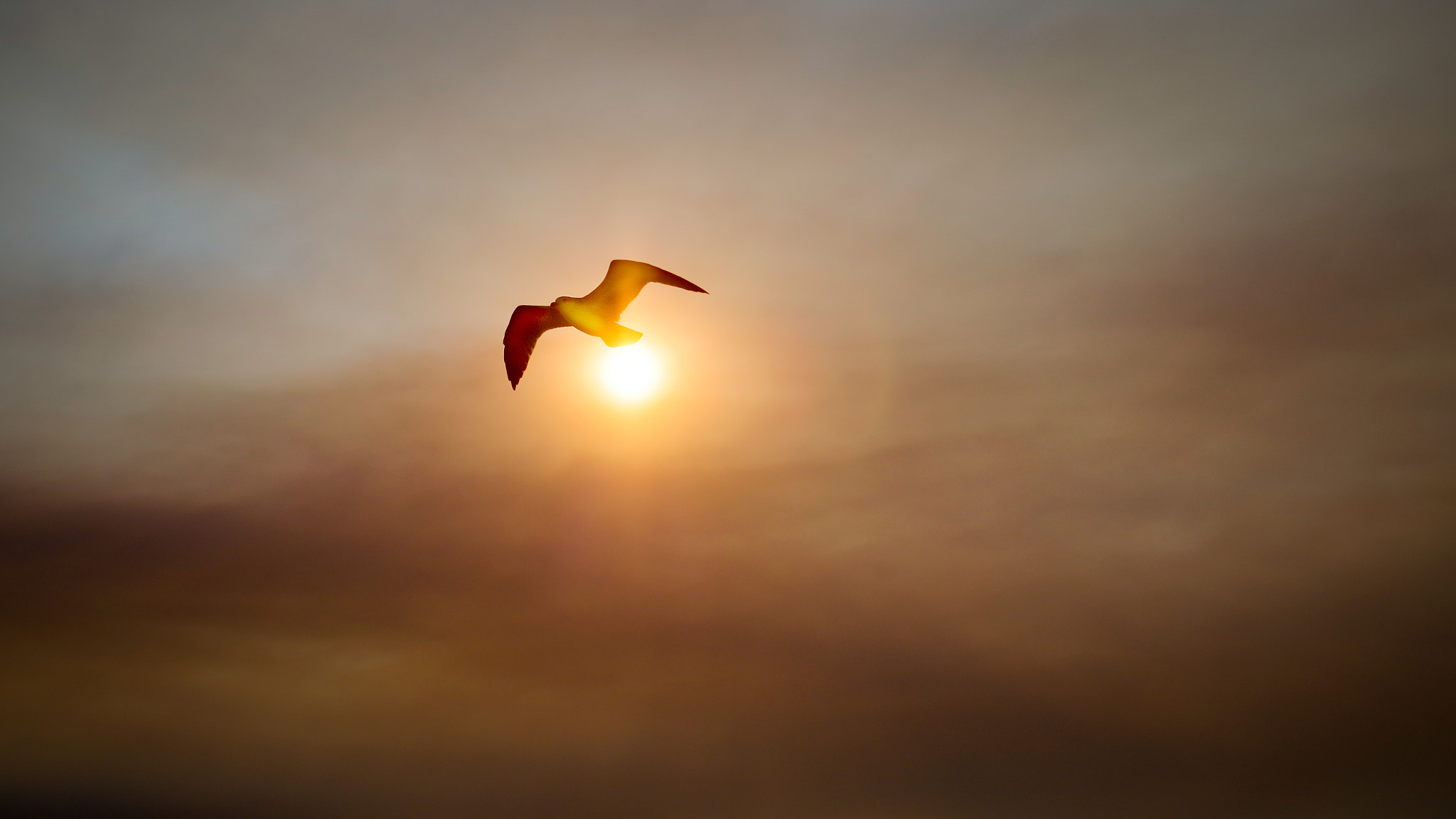 Pentax K-S1 sample photo. Sunset photography