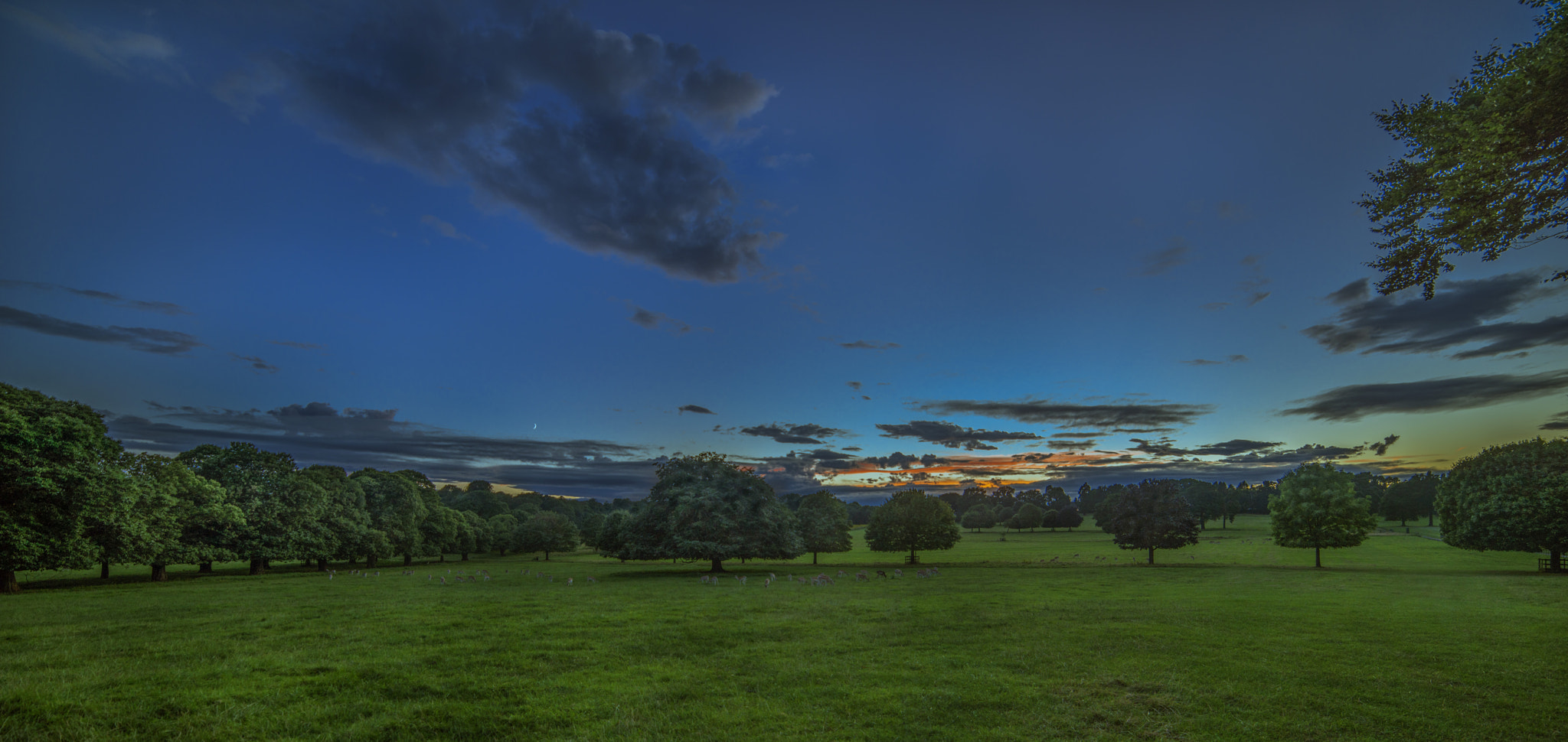 Samyang 14mm F2.8 ED AS IF UMC sample photo. Sunset at nottingham photography