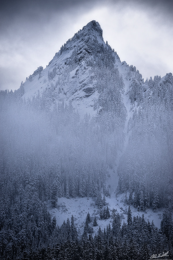 Canon EF 28-300mm F3.5-5.6L IS USM sample photo. Winter is coming photography