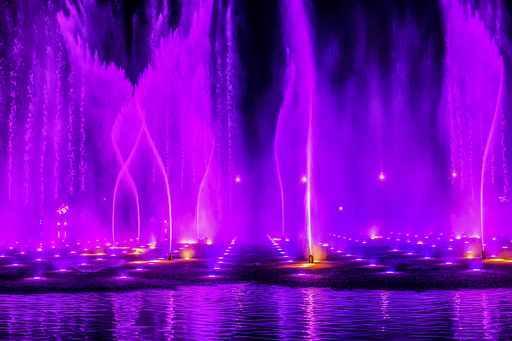 Sigma 30mm F1.4 EX DC HSM sample photo. Purple swirl photography
