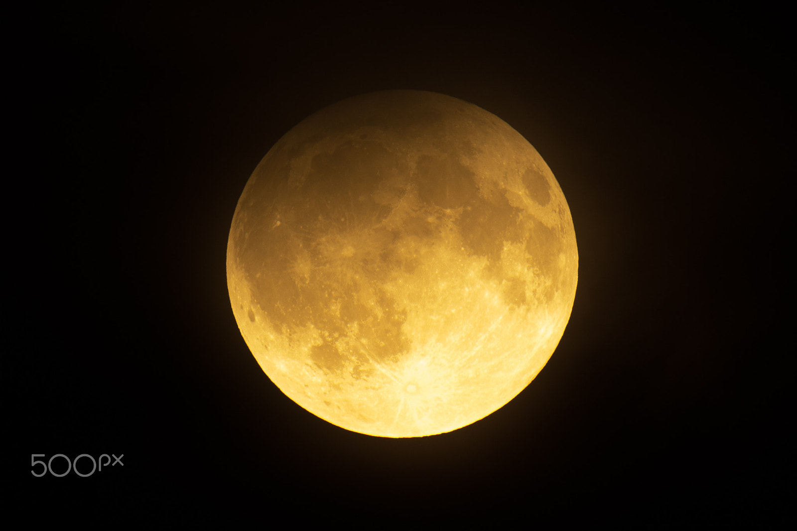 Nikon AF-S Nikkor 200-500mm F5.6E ED VR sample photo. Red moon photography