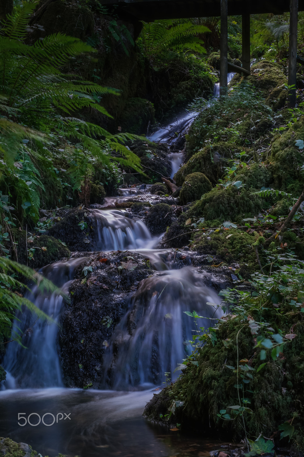 Samsung NX 45mm F1.8 sample photo. Canonteign falls. 2 photography