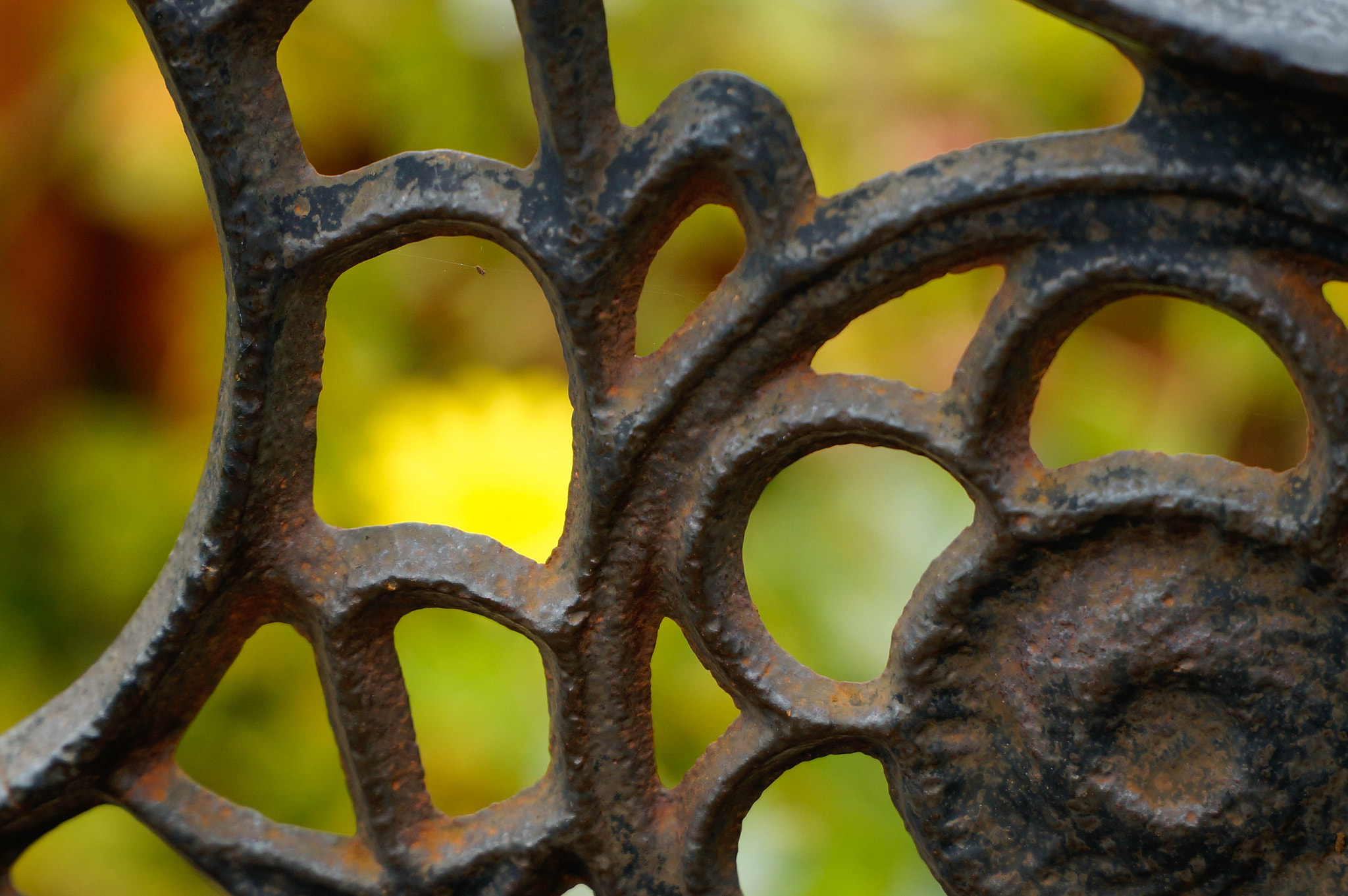 Sony Alpha NEX-6 + Sony E PZ 18-105mm F4 G OSS sample photo. Closeup of iron bench in maui photography