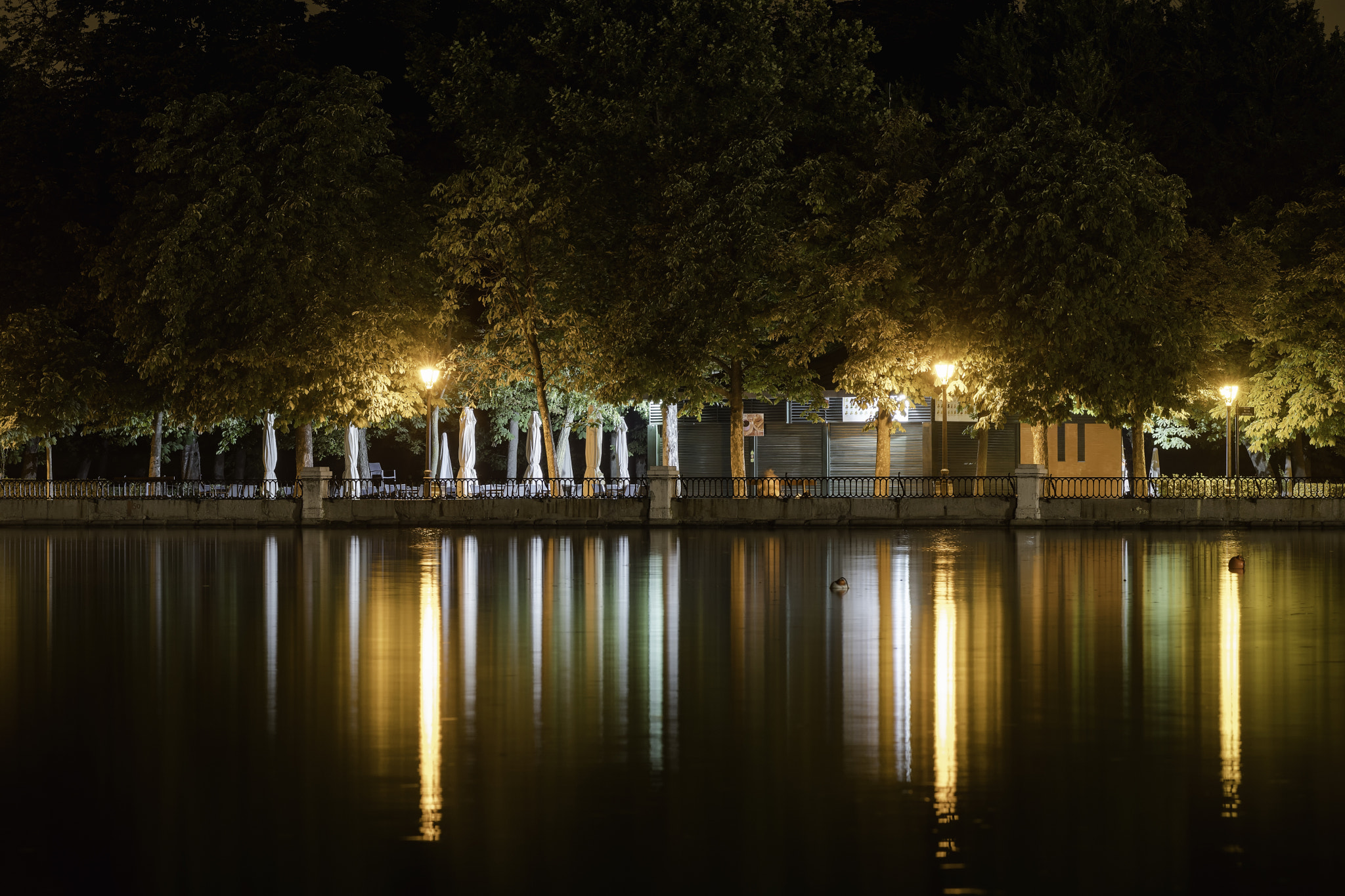 AF Zoom-Nikkor 80-200mm f/2.8 ED sample photo. Lago del parque del retiro photography