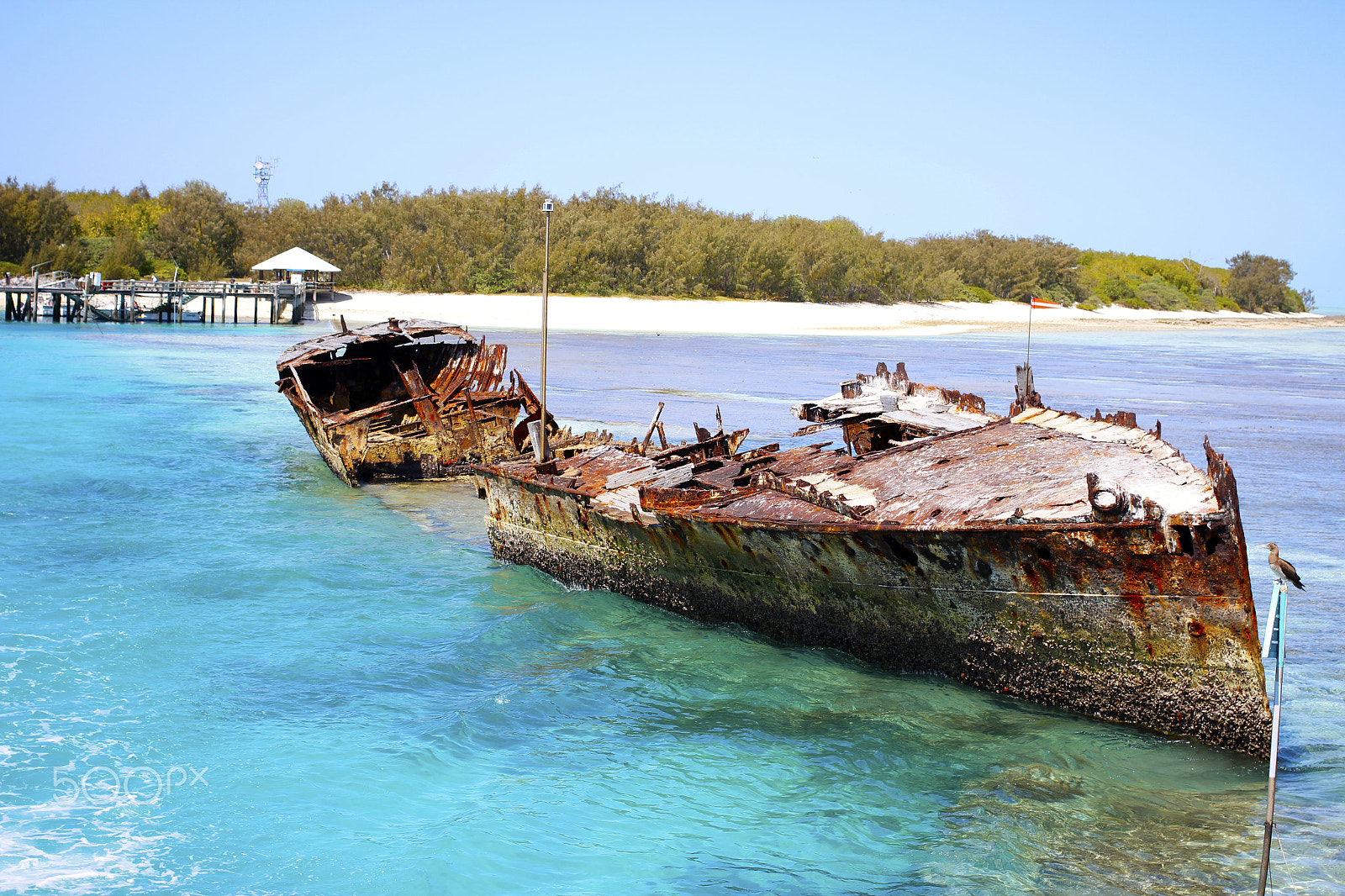 Canon EF 40mm F2.8 STM sample photo. Heron shipwreck photography