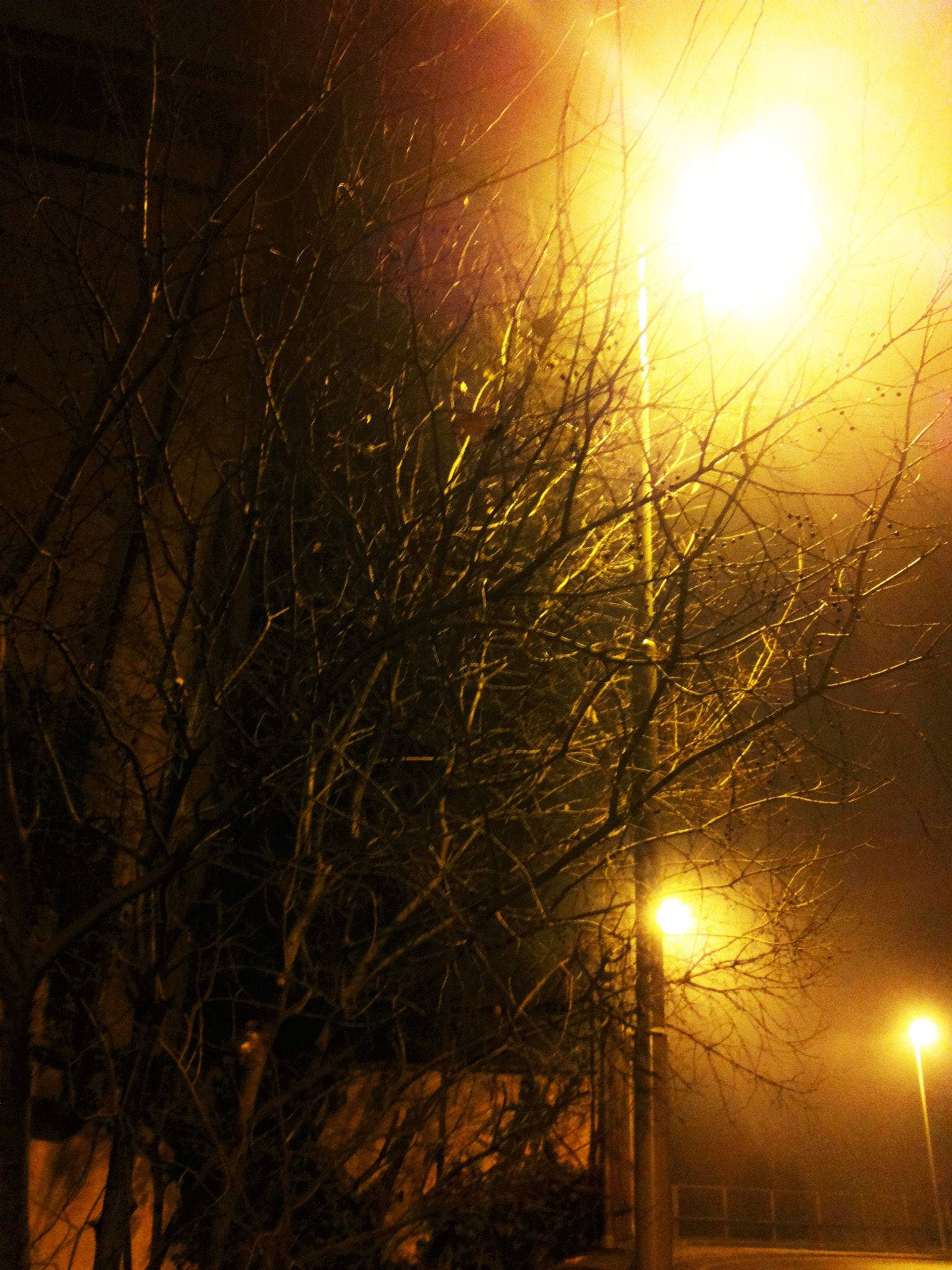 Samsung Galaxy S2 Plus sample photo. Night lights in winter photography
