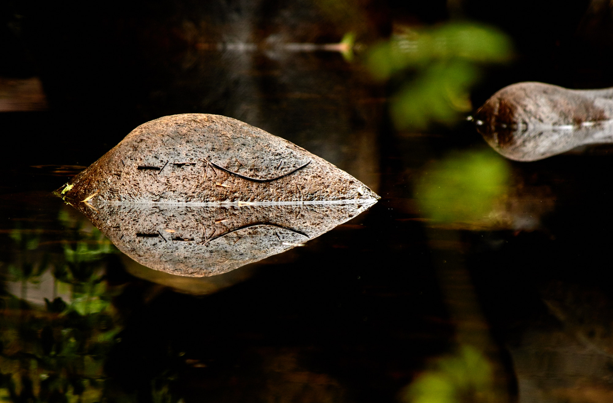 Canon EF-S 55-250mm F4-5.6 IS sample photo. A small stone and reflection photography