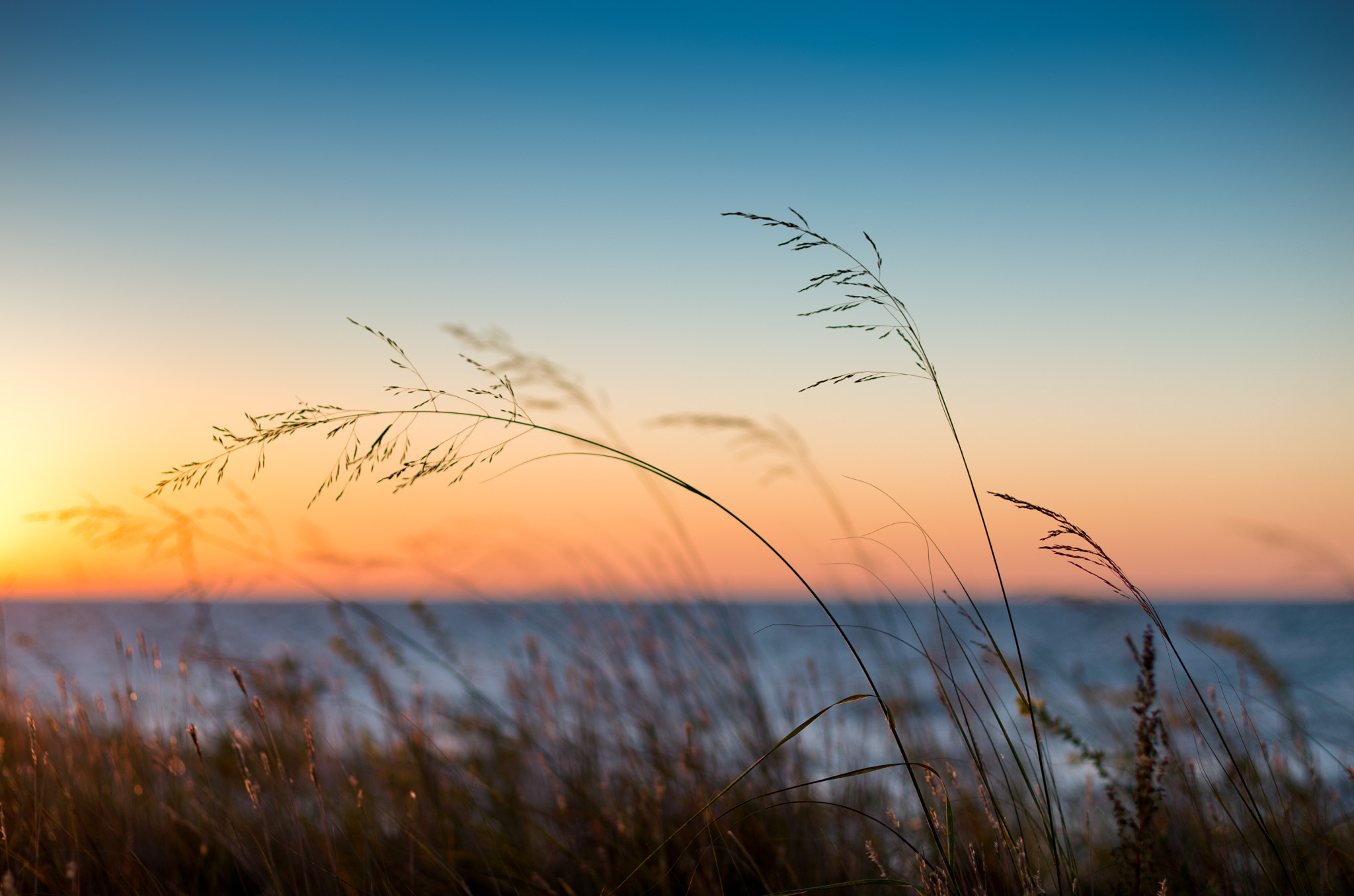 Pentax smc DA* 55mm F1.4 SDM sample photo. Lake michigan sunrise, sturgeon bay wi photography