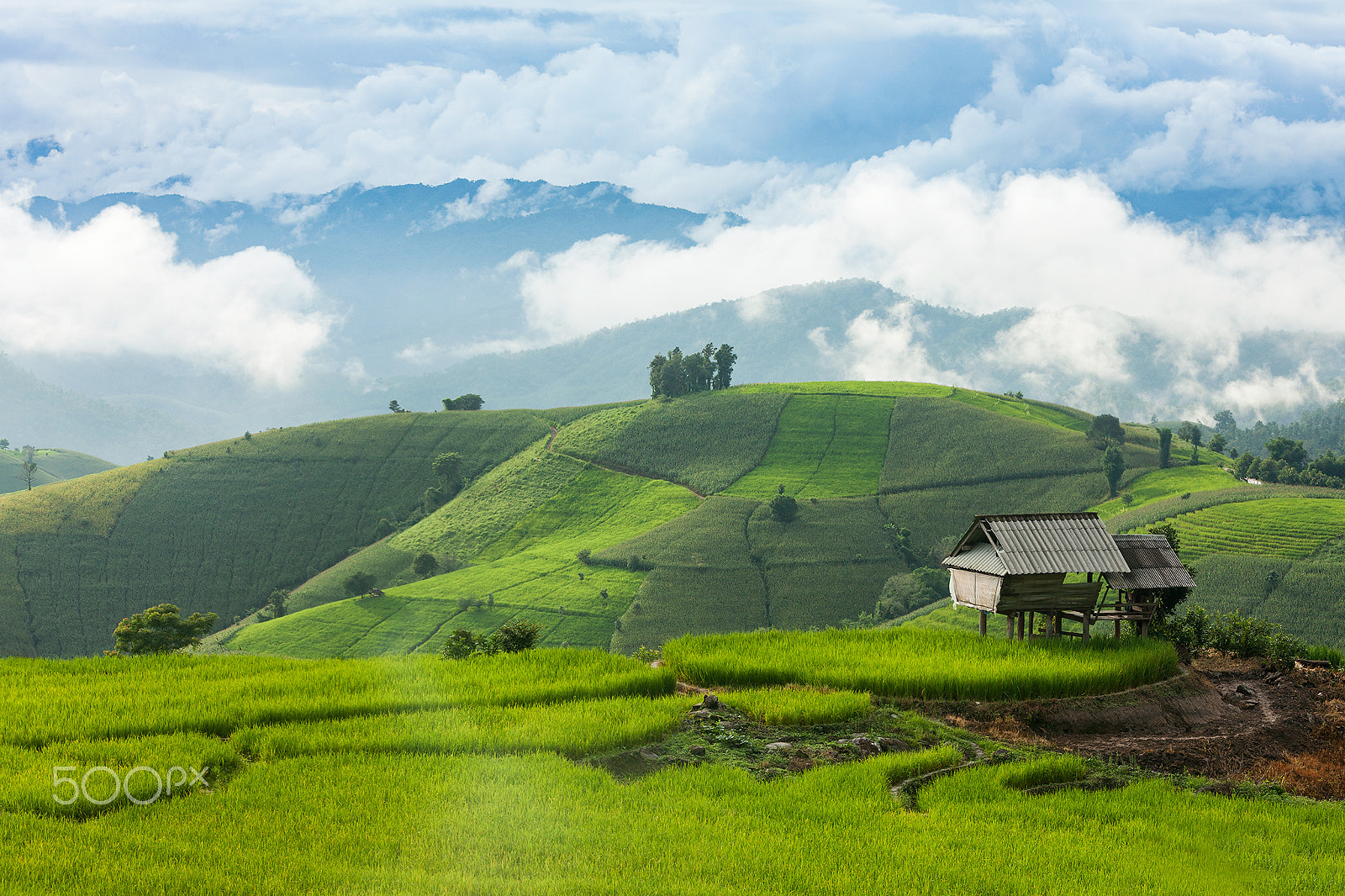 Sigma 70-200mm F2.8 EX DG OS HSM sample photo. Chilling hut photography
