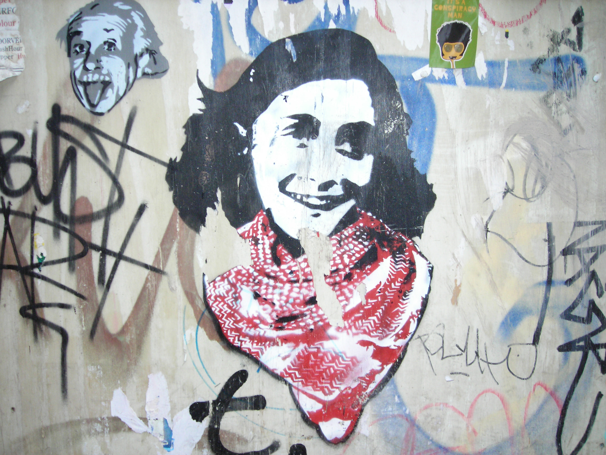 Nikon COOLPIX L3 sample photo. Street art in amsterdam including albert einstein  ... photography