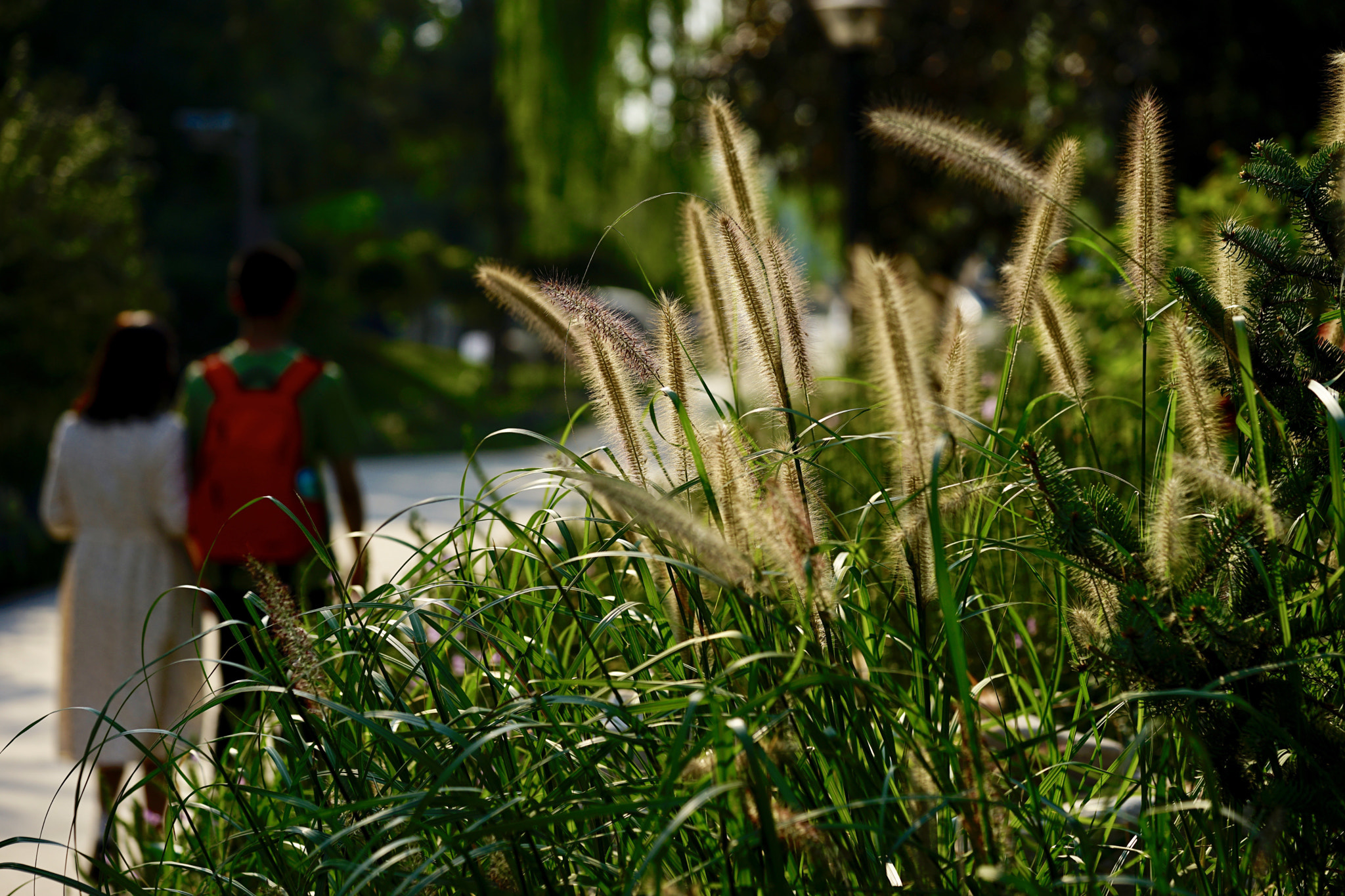 Sony a7 II + Sony FE 90mm F2.8 Macro G OSS sample photo. 漫步沐暖阳 photography
