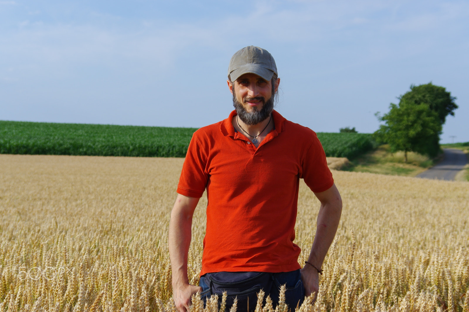 Pentax K-3 sample photo. Bearded man standing in a wheat field on  sunny day photography