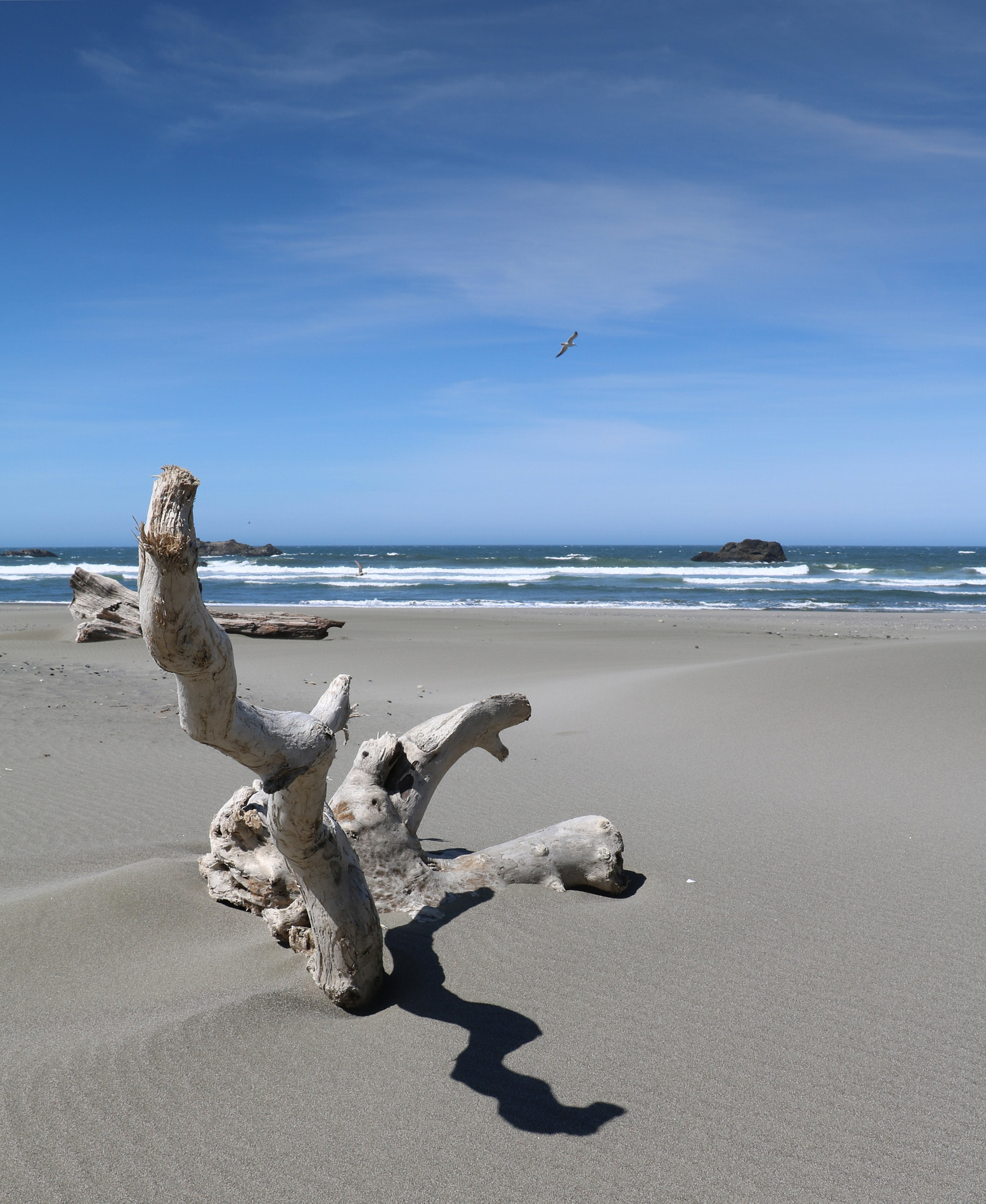 Canon EOS 760D (EOS Rebel T6s / EOS 8000D) sample photo. Help ... i'm stuck in slowsand! photography