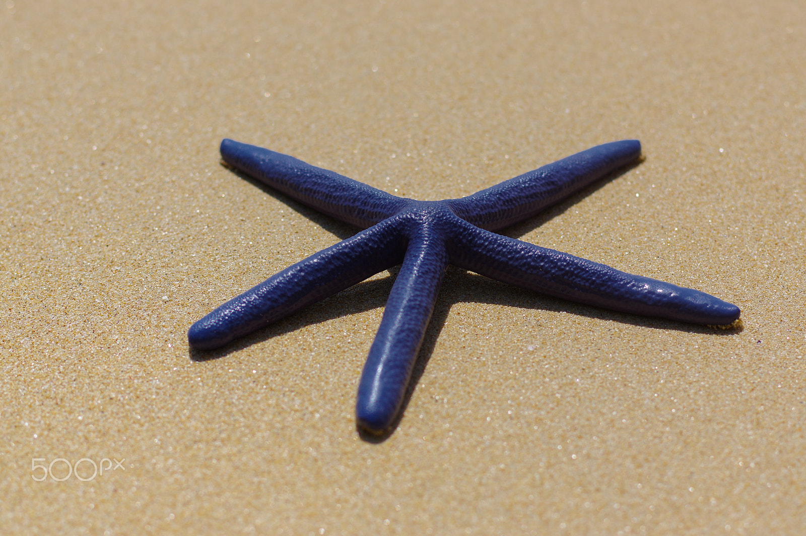 Pentax K-3 sample photo. Blue starfish on the white sand  sunny day photography
