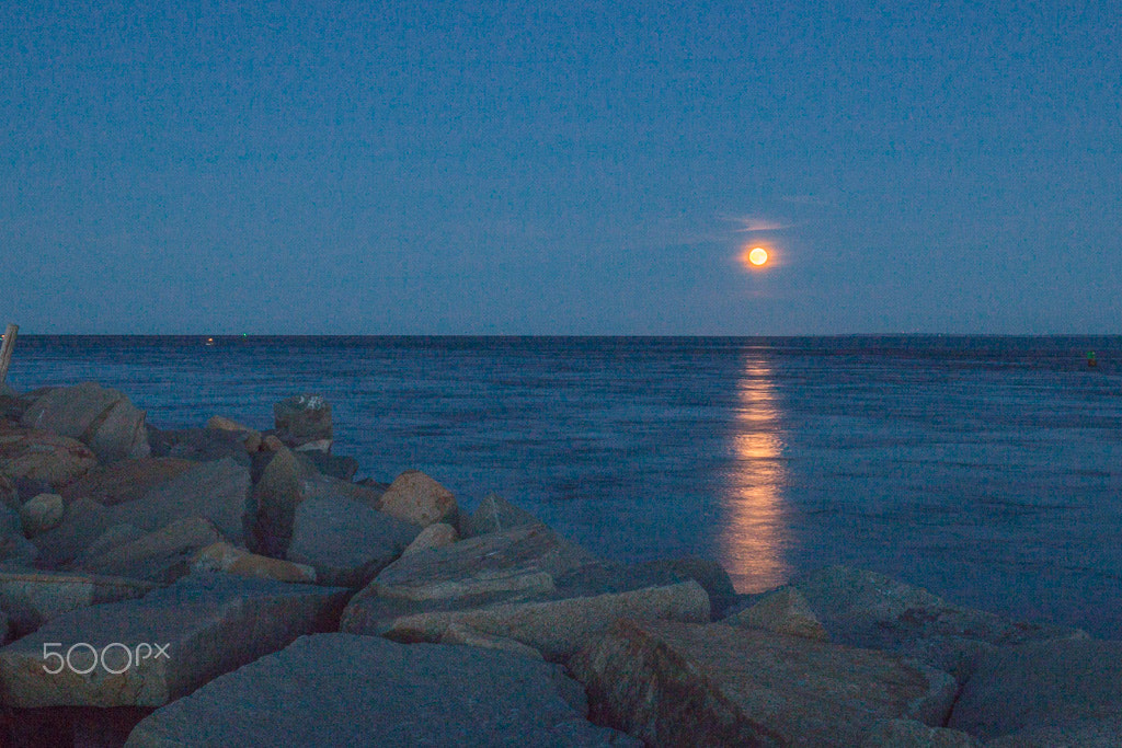 Canon EOS 70D + Canon EF 16-35mm F4L IS USM sample photo. Harvest moon photography