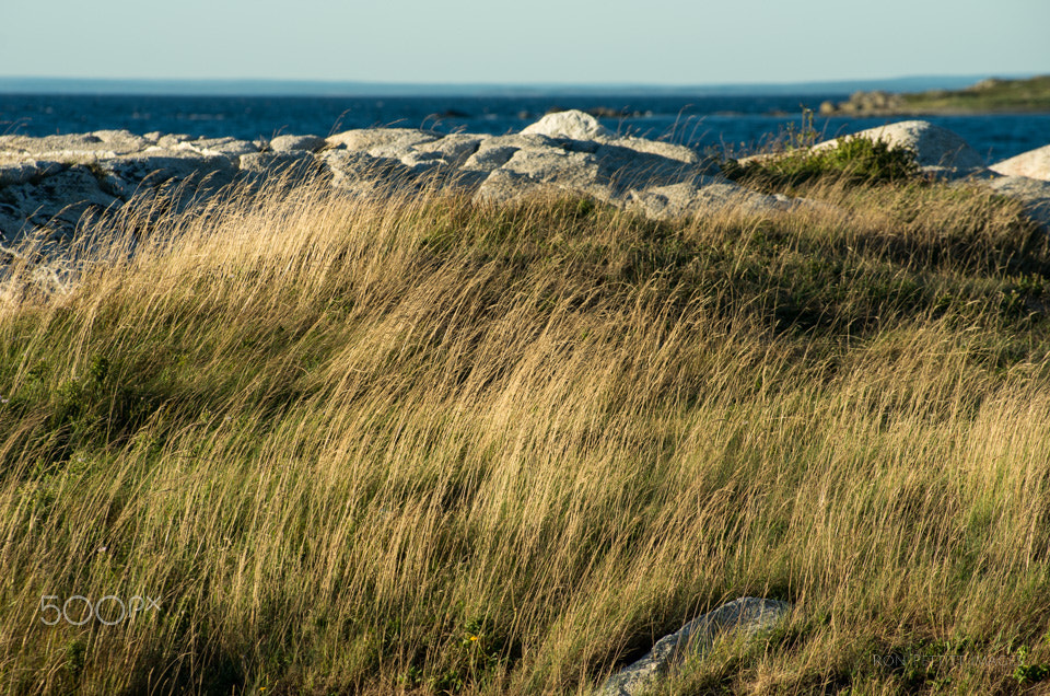 Pentax K-5 II sample photo. Seashore photography