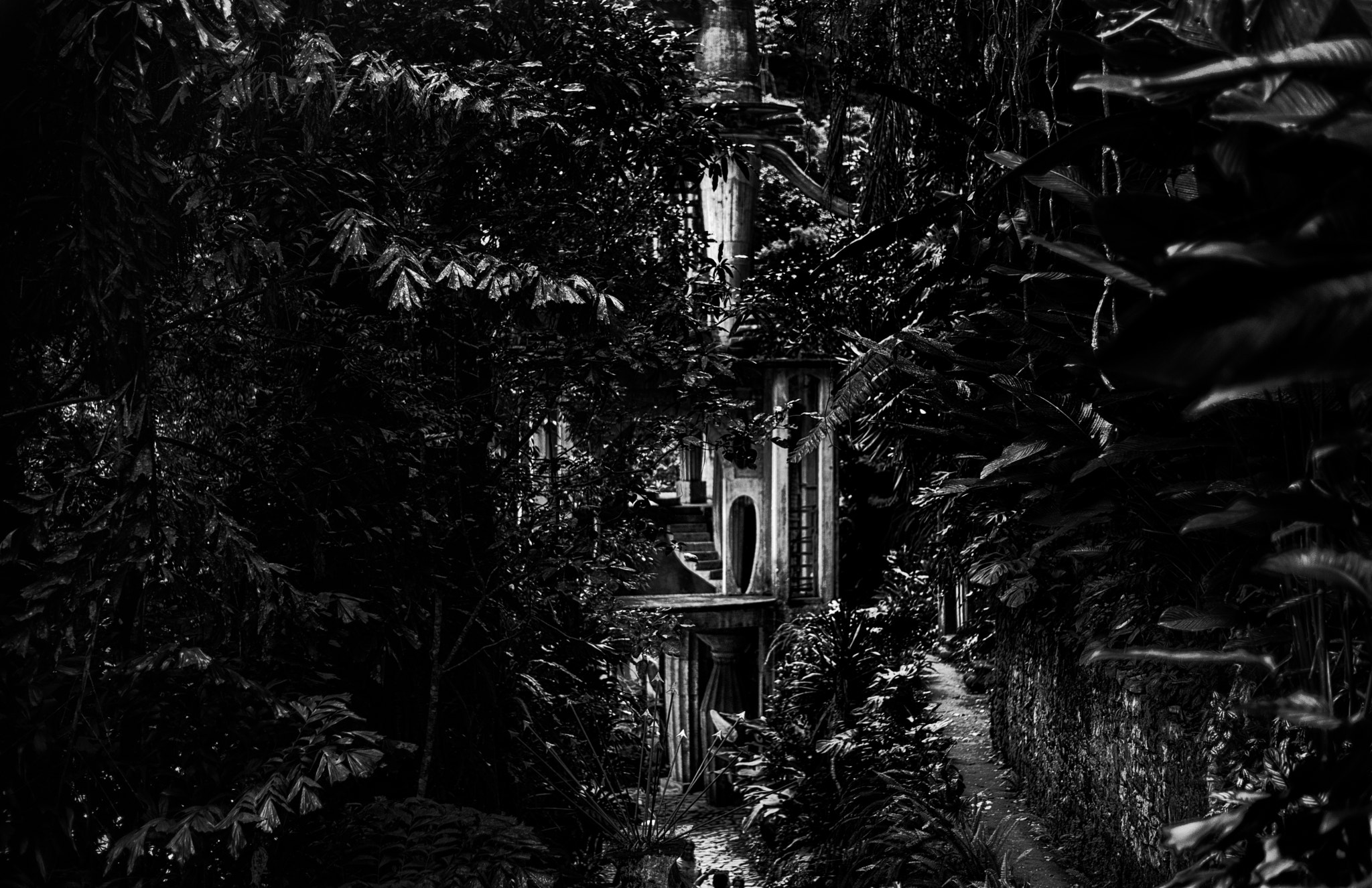 Nikon D3X + Nikon AF-S Nikkor 50mm F1.8G sample photo. Place xilitla 2 photography