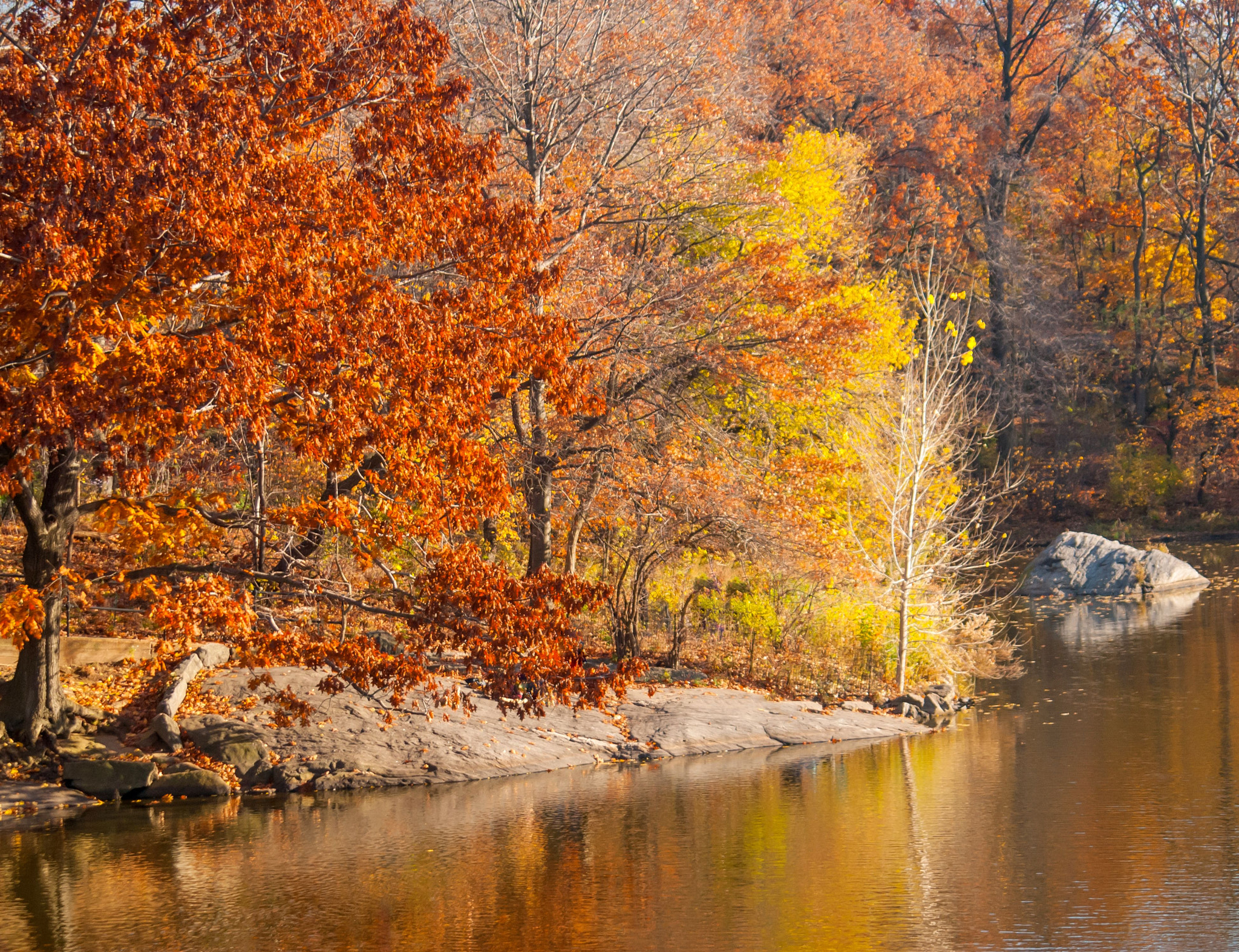 Nikon D200 sample photo. Central park west photography